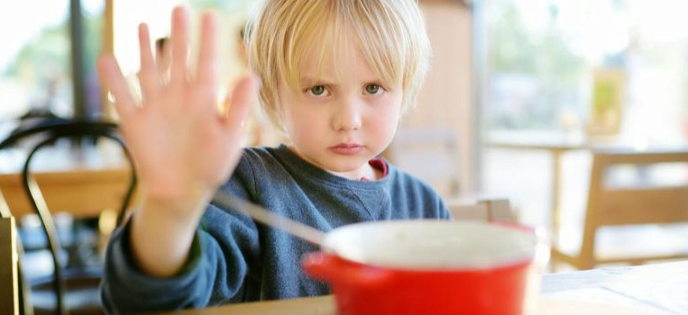 Ешь, кому говорю! Группа практики (Елена Веселаго)