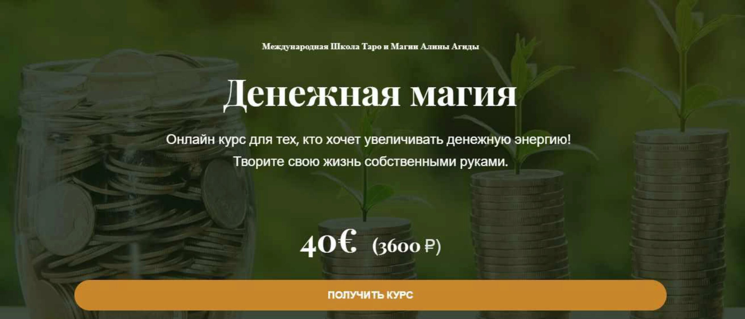 Денежная магия (Алина Агида)