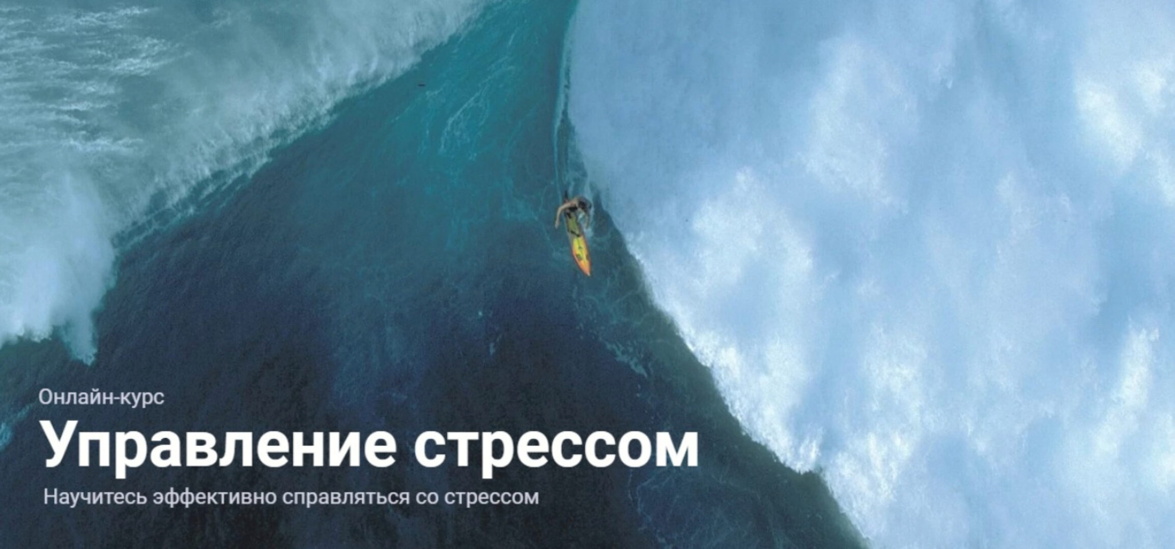 Управление стрессом. Тариф Standart (Полина Тур, Полина Кривых)