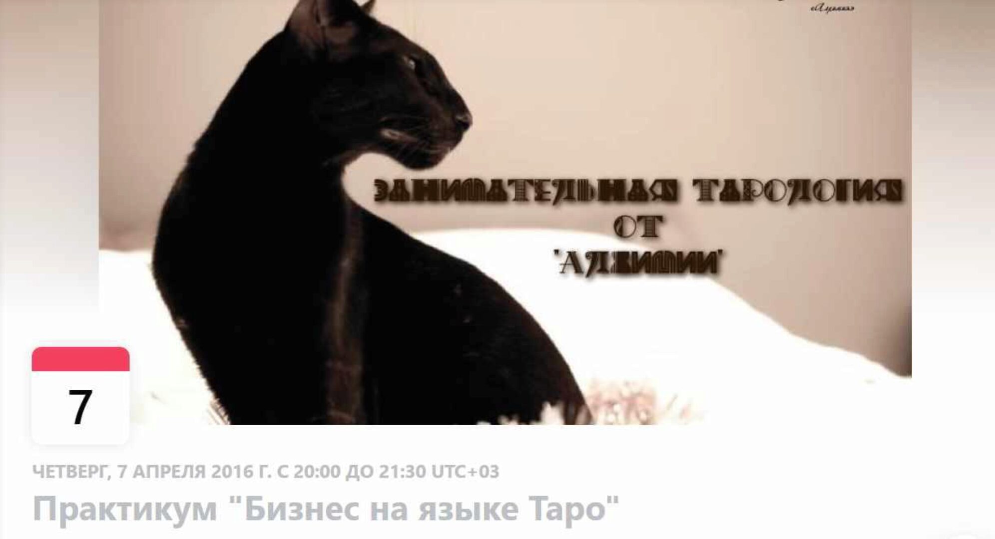 Бизнес на языке Таро (Вероника Никитенко)