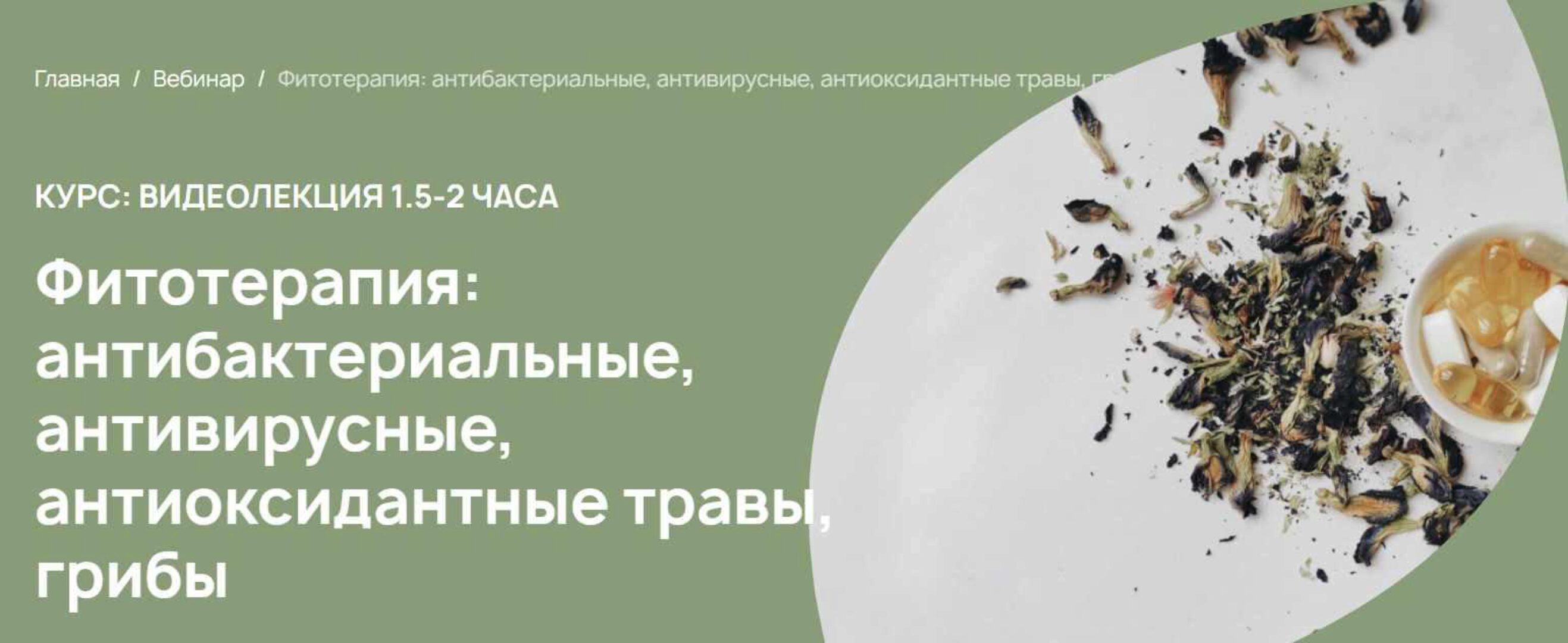 Фитотерапия: антибактериальные, антивирусные, антиоксидантные травы, грибы (Анастасия Родионова)