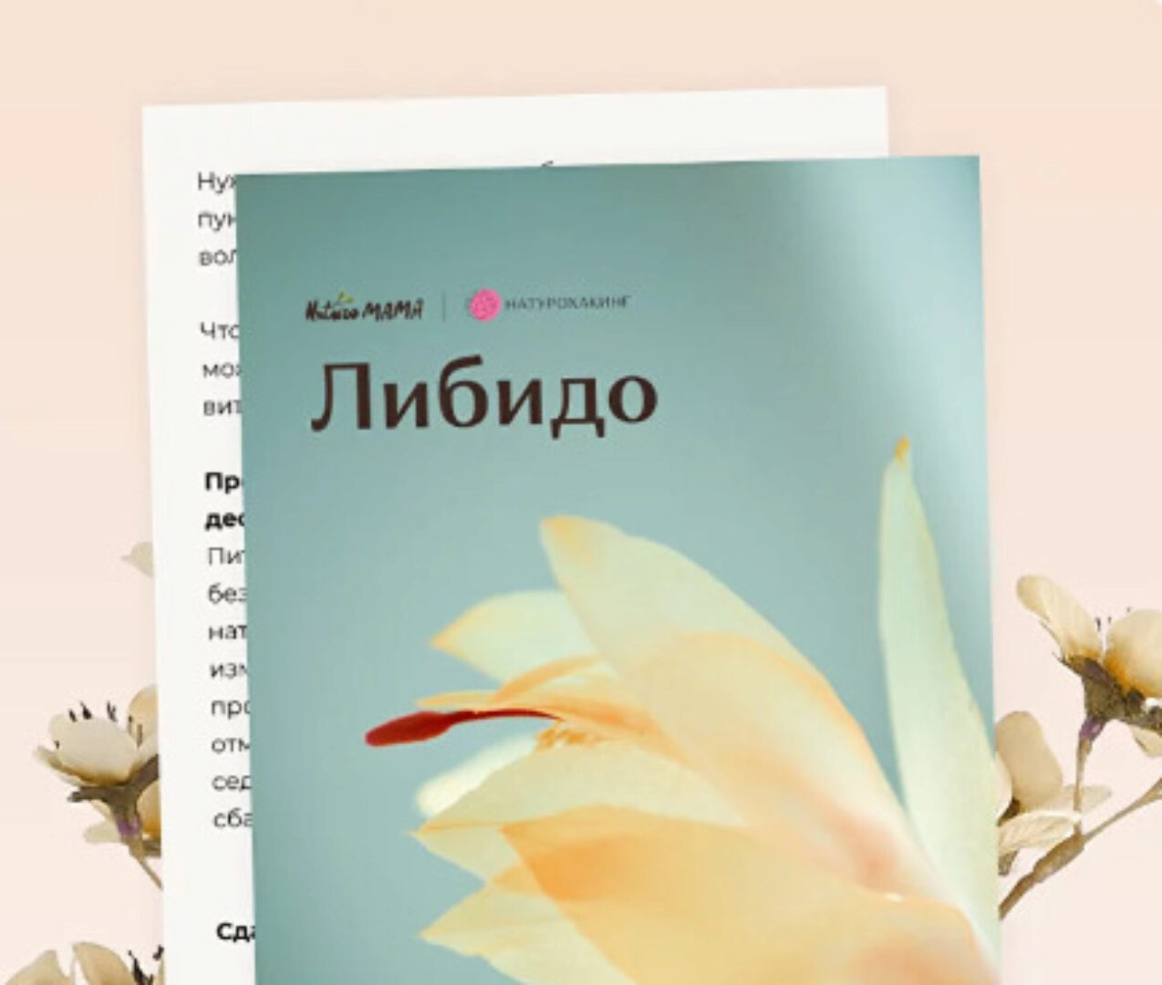 Рекомендации для увеличения уровня либидо (Вероника Хуснутдинова)
