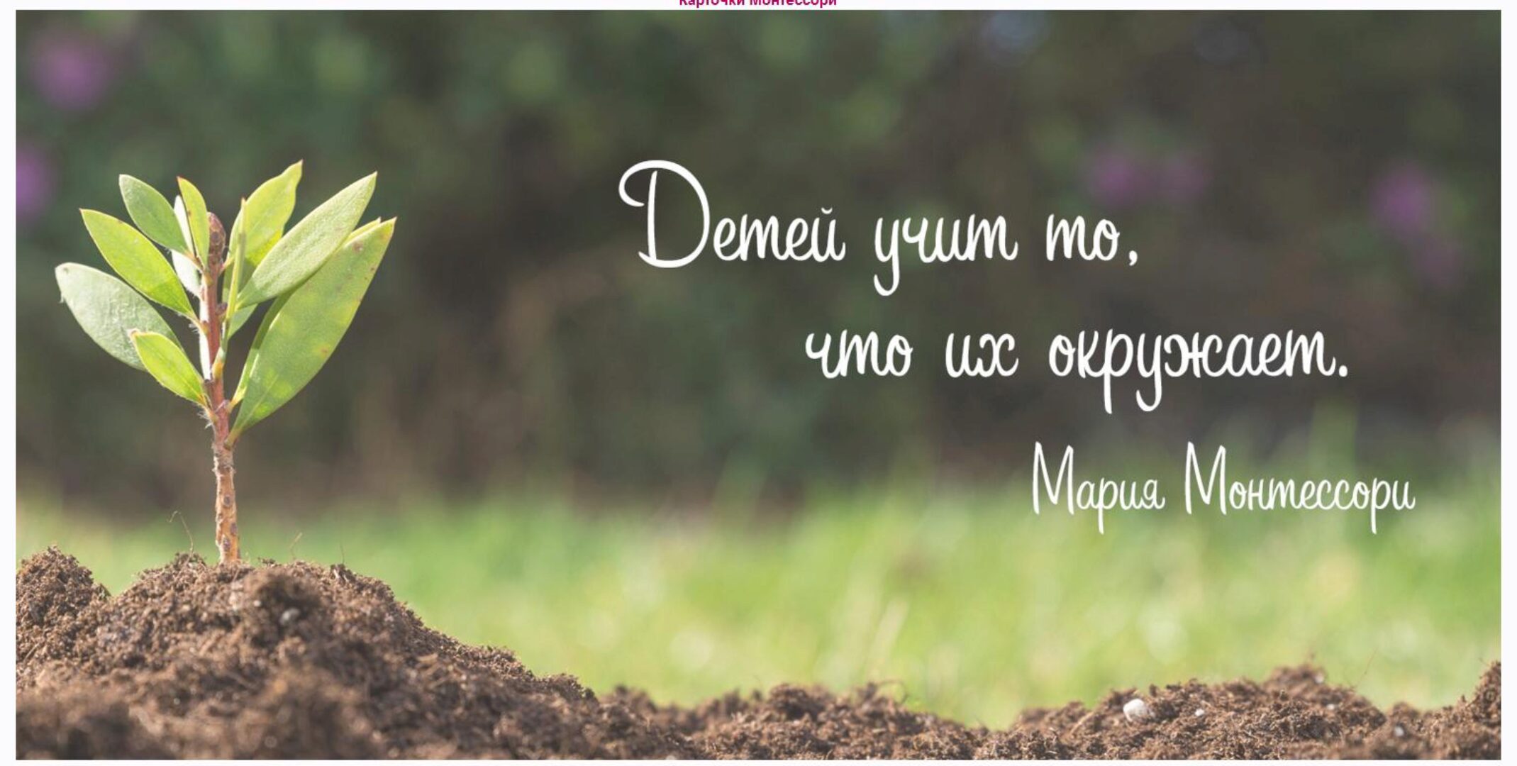 [montessori-print.store] 45 карточек Монтессори для расширения словарного запаса ребёнка