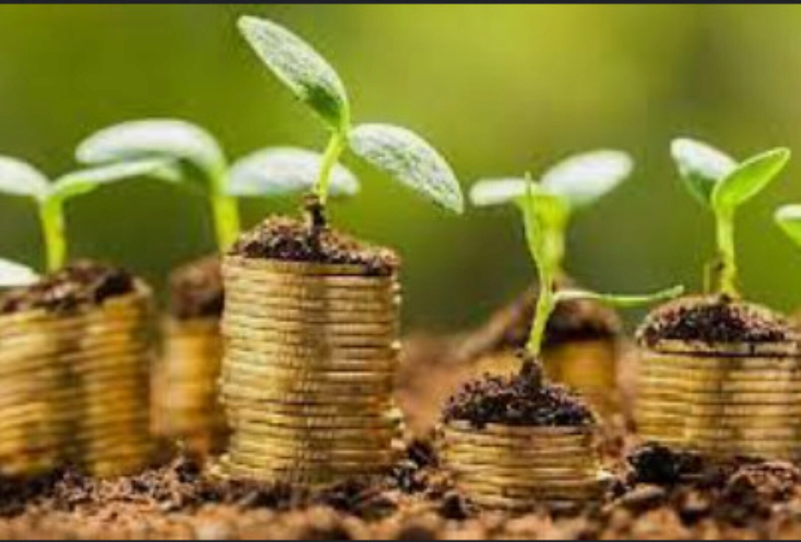 Технологии инвестирования в землю – как сделать состояние на земле и строительстве (Ольга Бюртон)