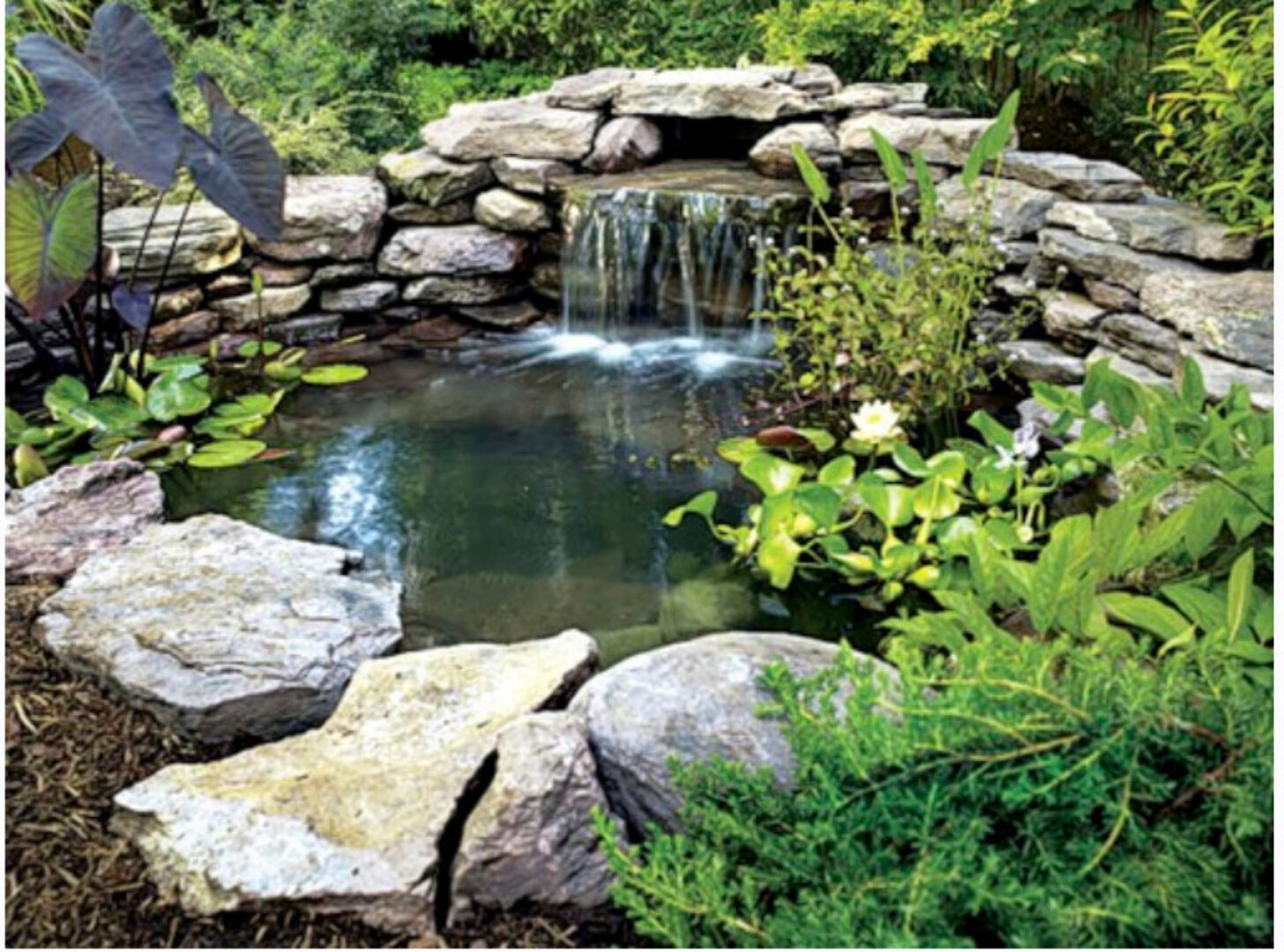 [Sadby] Красота! Водоём на участке своими руками