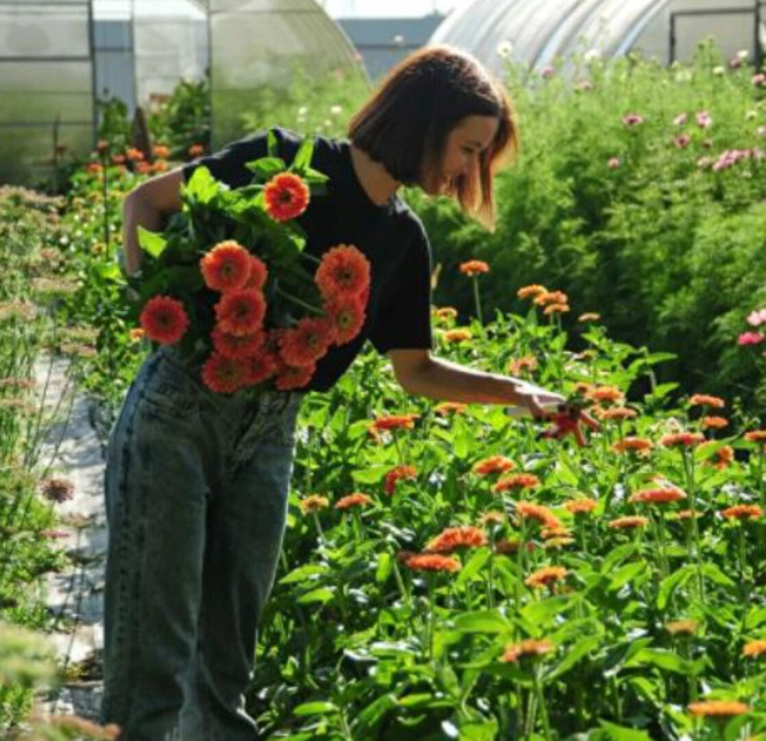 Маленькая цветочная ферма-2021 (Екатерина Фролова)