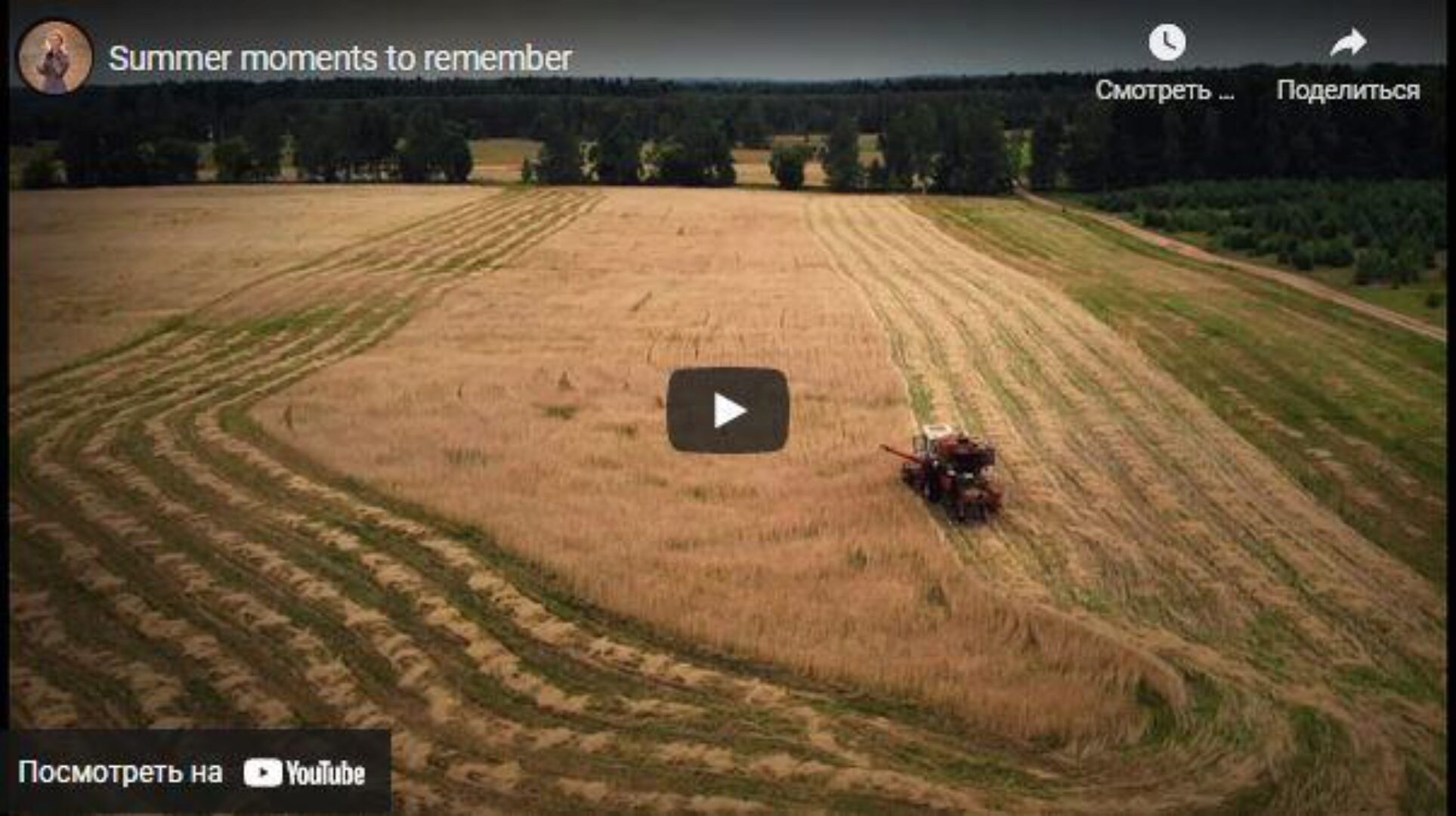 Создание красивых сюжетных Reels (Елена Шумилова)