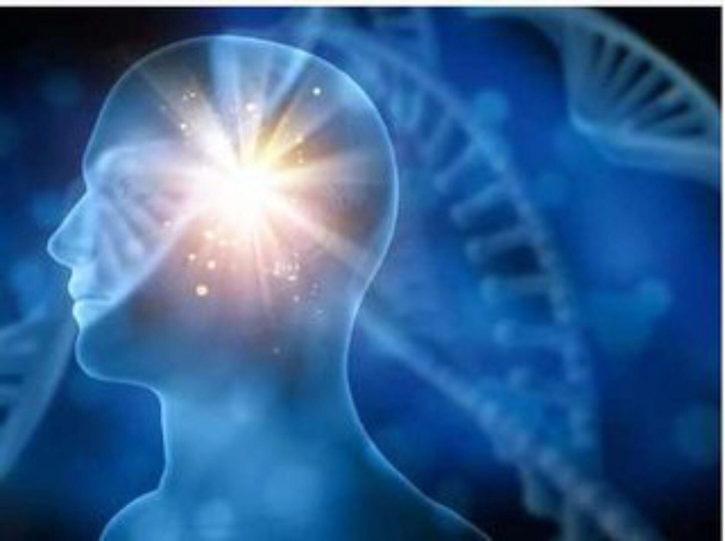 [Qi Life] NAD+ продление жизни, долговечность, ноотропы, антивозрастные частоты (David Wong)