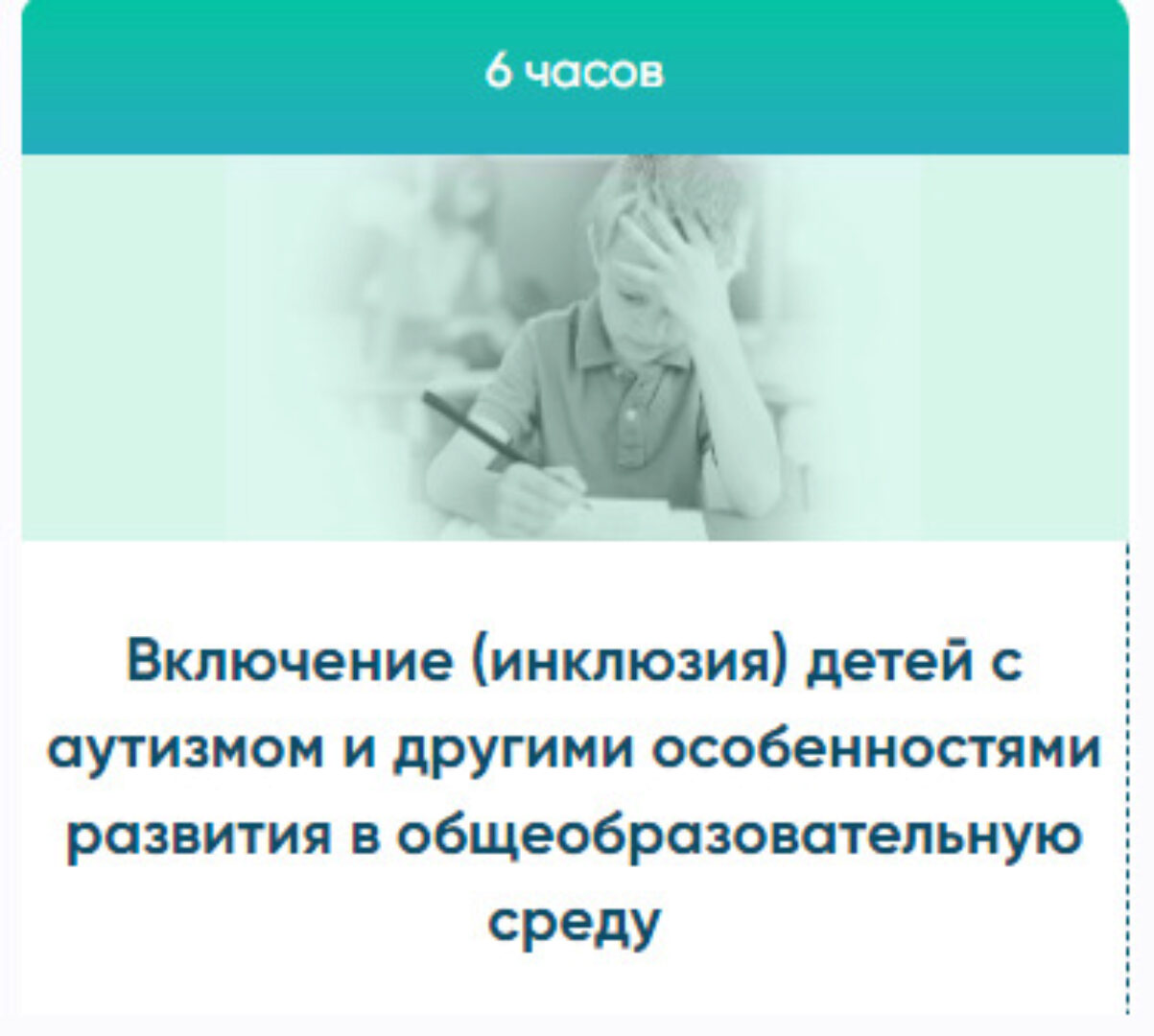 Включение (инклюзия) детей с аутизмом и другими особенностями развития  (Юлия Эрц)