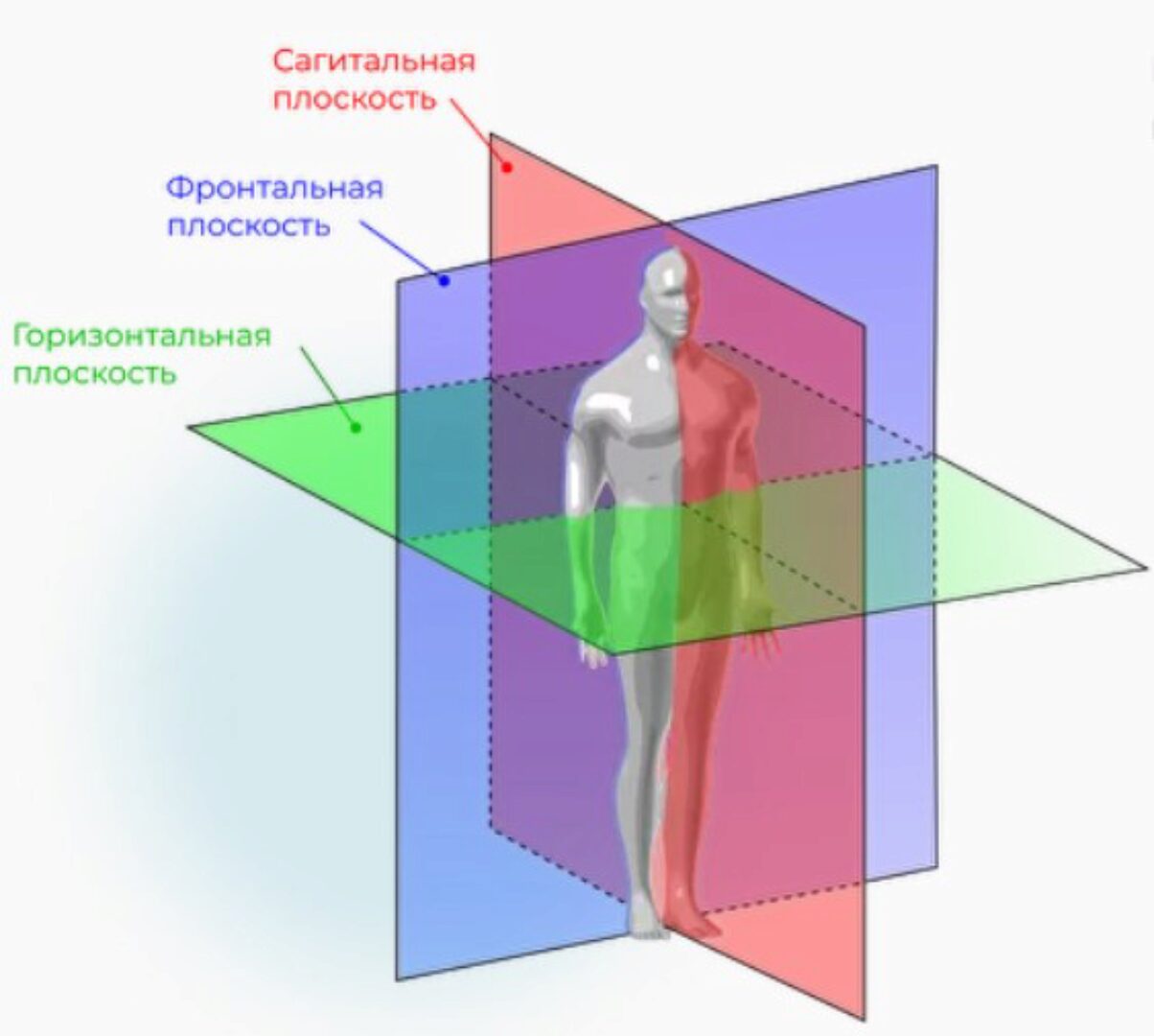 Здоровое вращение, верни вращение суставам и скажи STOP артроз (Евгений Кадлубинский)