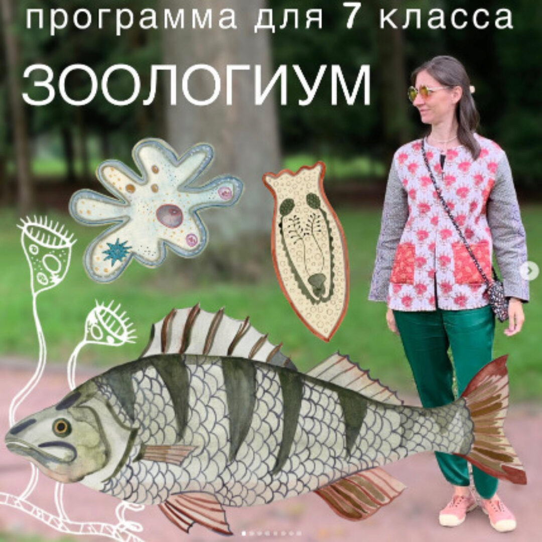 Программа Зоологиум. 7 класс (Алина Чабуткина)