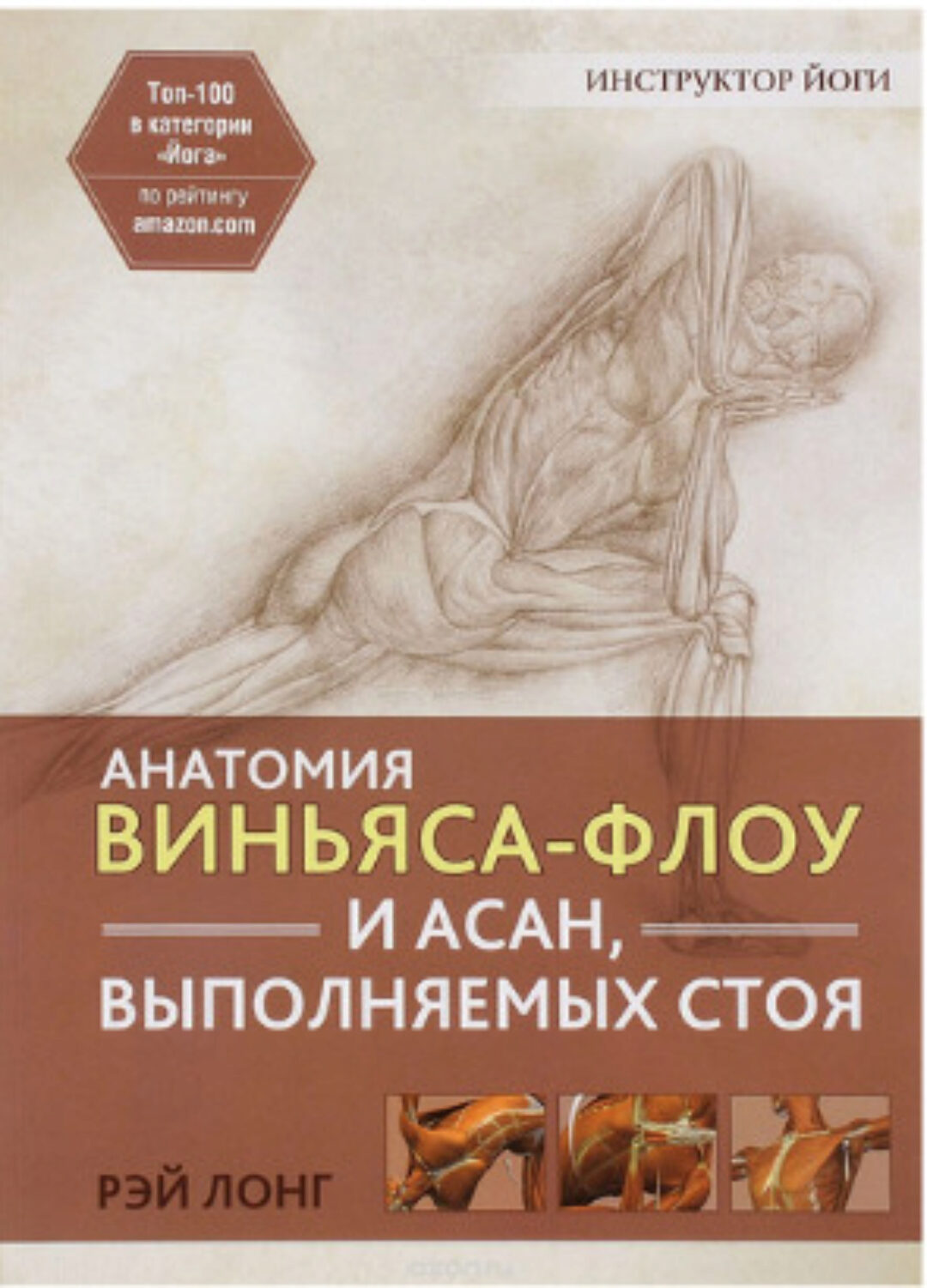 Анатомия виньяса-флоу и асан, выполняемых стоя (Рэй Лонг)