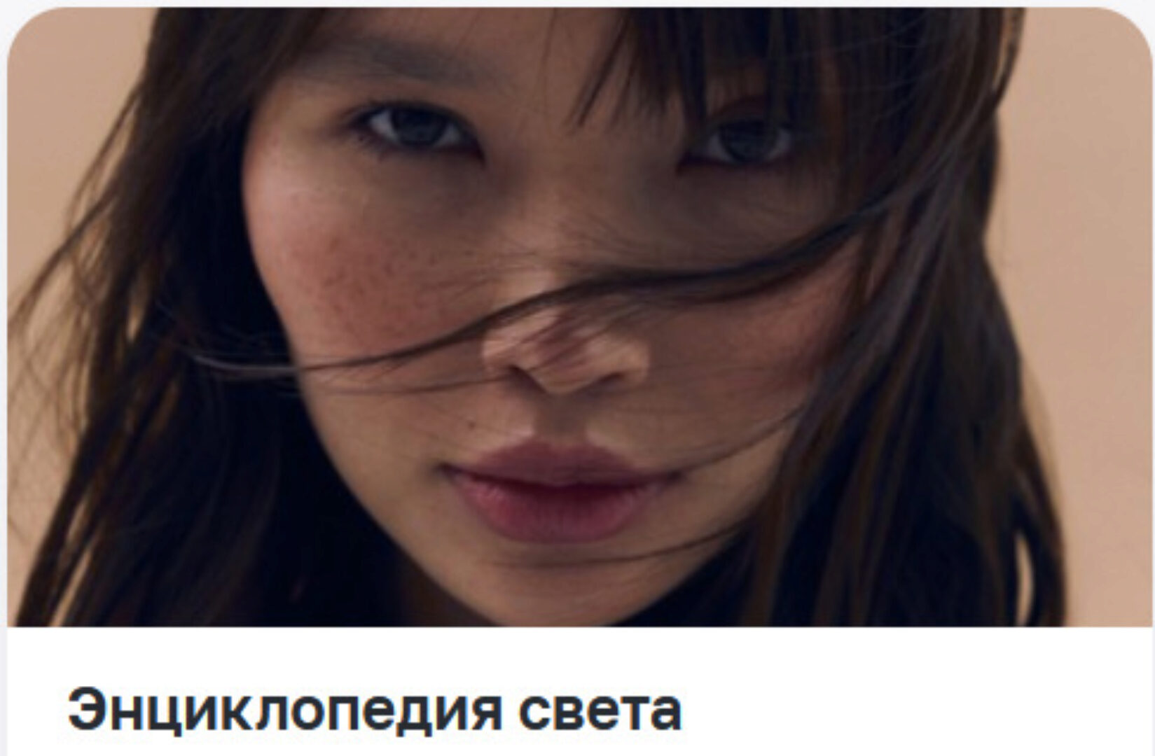 [Школа Сергея Гунина] Энциклопедия света (Сергей Гунин)