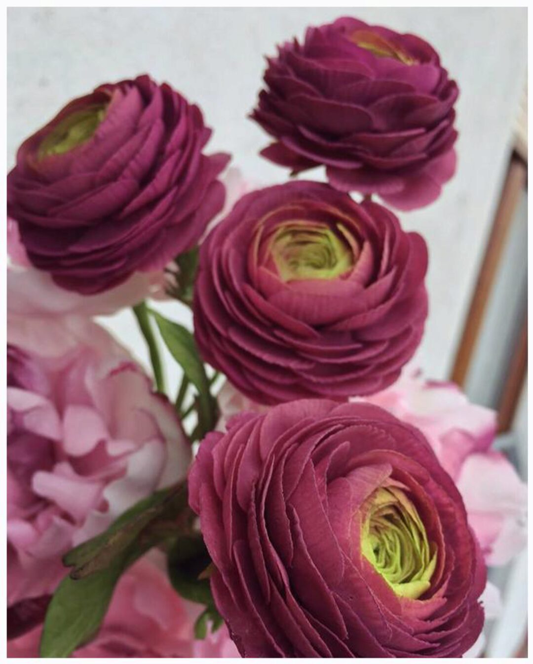 Необычная сахарная мастика (Алена Уйшаг)