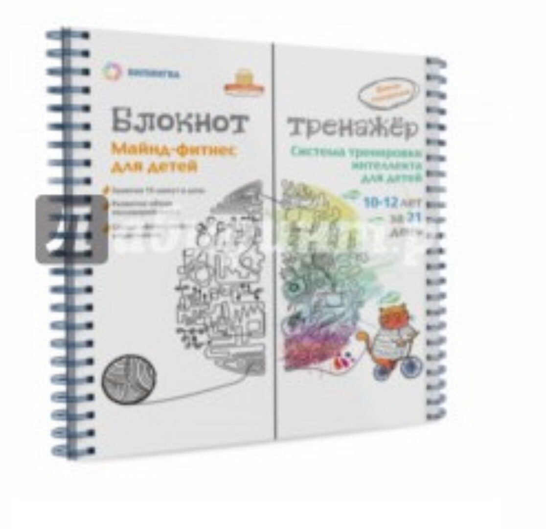 Система тренировки интеллекта для детей 10-12 лет за 21 день. (Шамиль Ахмадуллин)