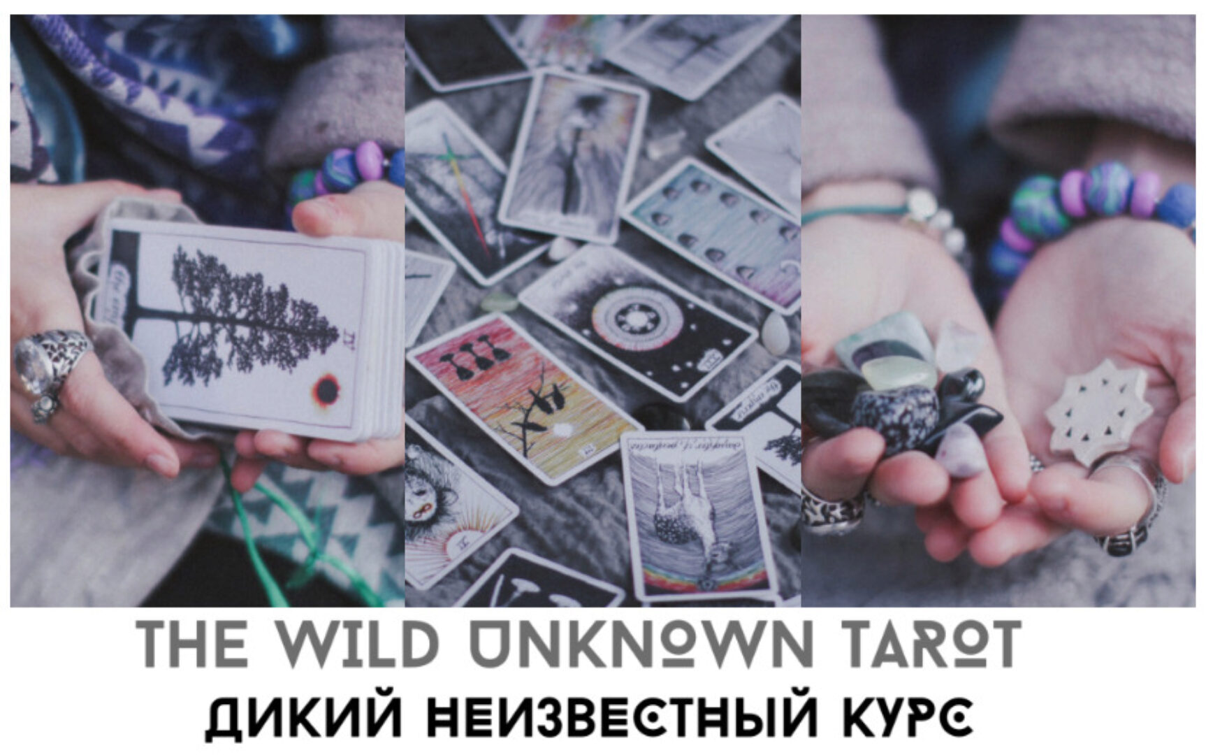 Дикое Неизвестное Таро (Лида Павлова)