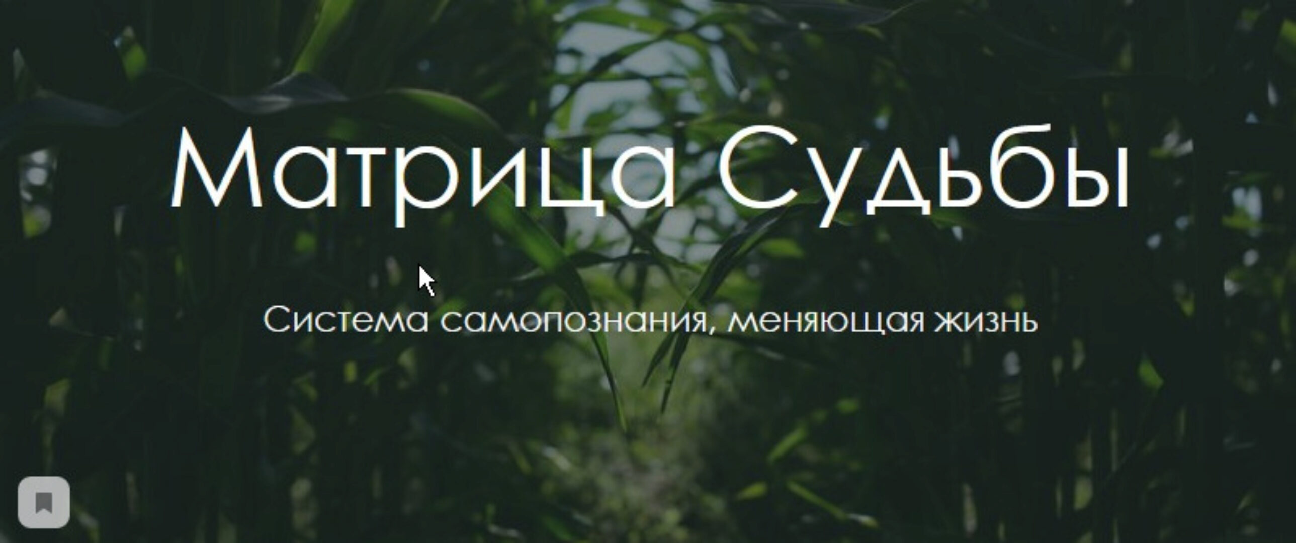 Матрица Судьбы (Юлия Богацкая)