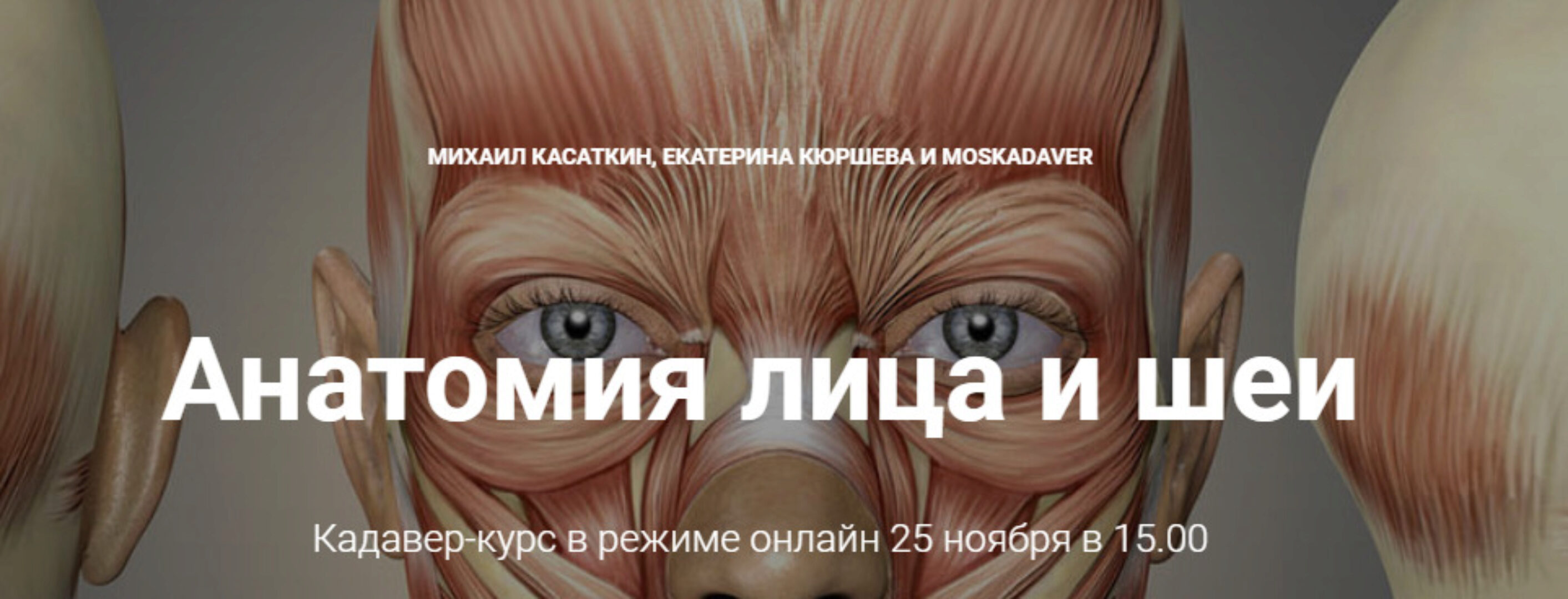 Кадавер-курс Анатомия лица и шеи (Михаил Касаткин, Екатерина Кюршева)