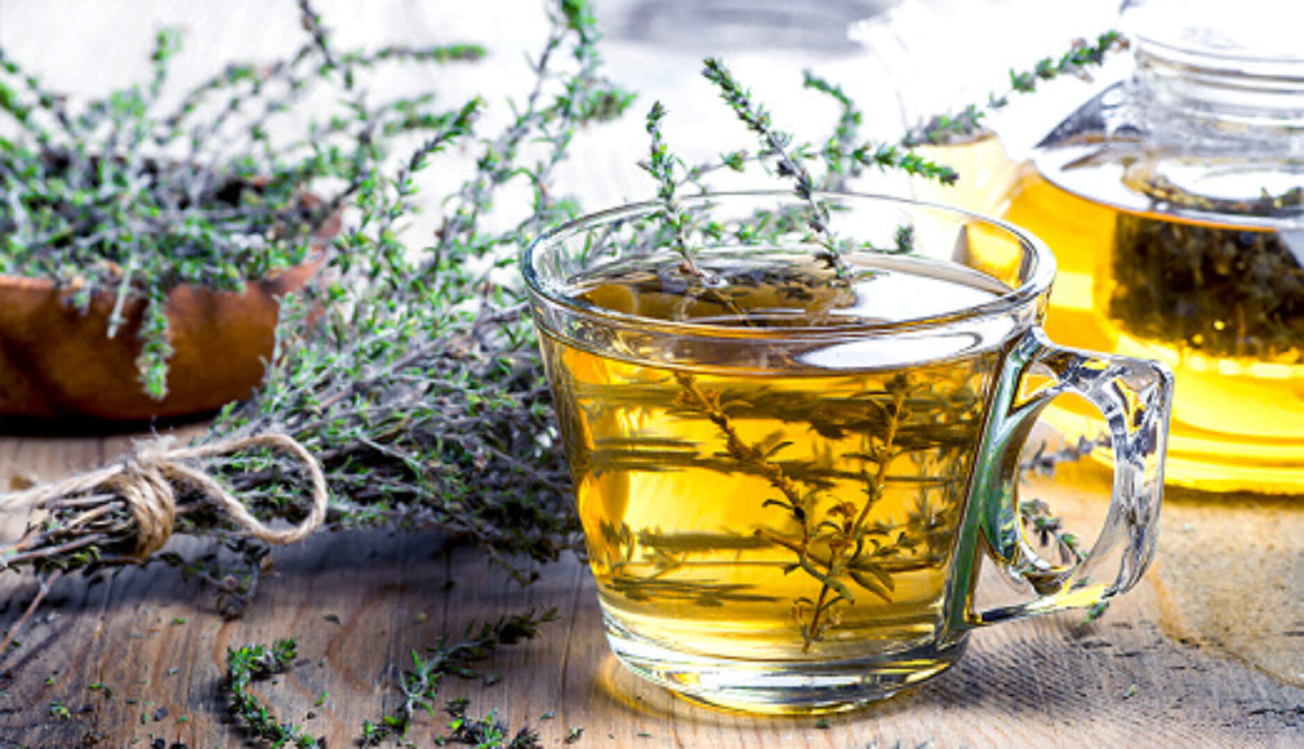 [Фитоведа]  Детоксикационная фитотерапия (Елена Корсун)