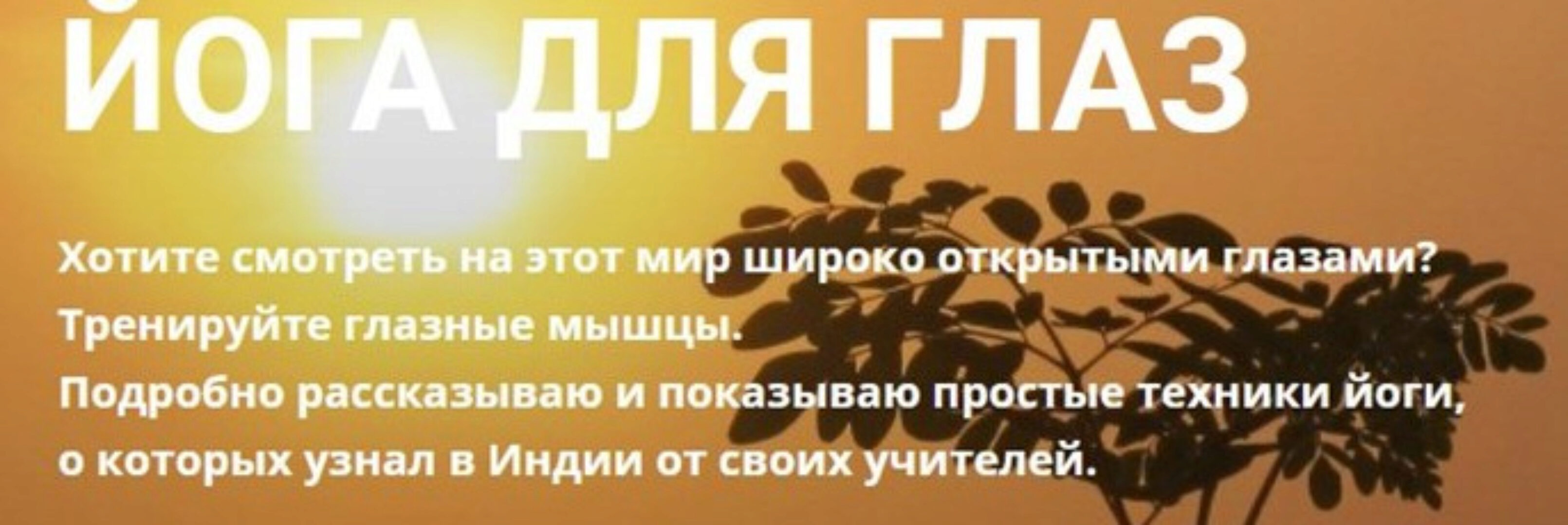 Йога для глаз (Алексей Брюховецкий)