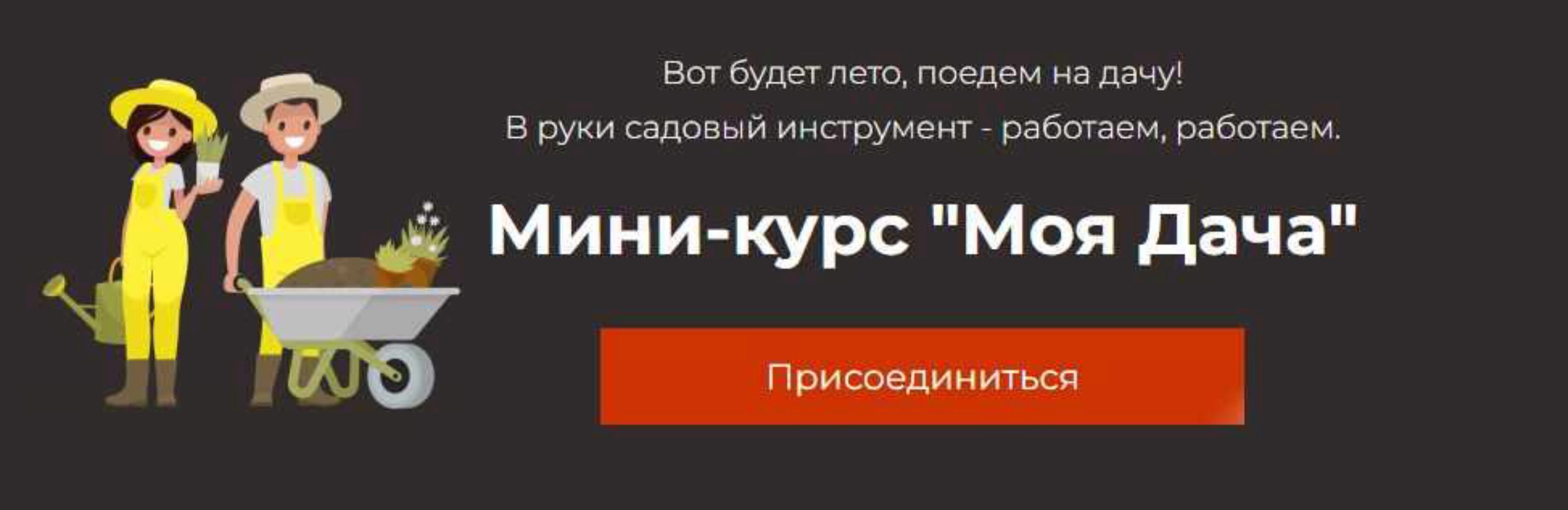 Моя Дача (Салават Валишин)