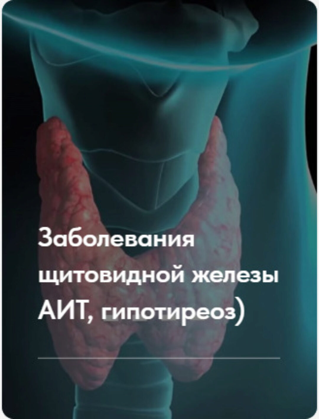 Лечебный протокол Заболевания щитовидной железы. Тариф Без обратной связи (Елена Ержанова)
