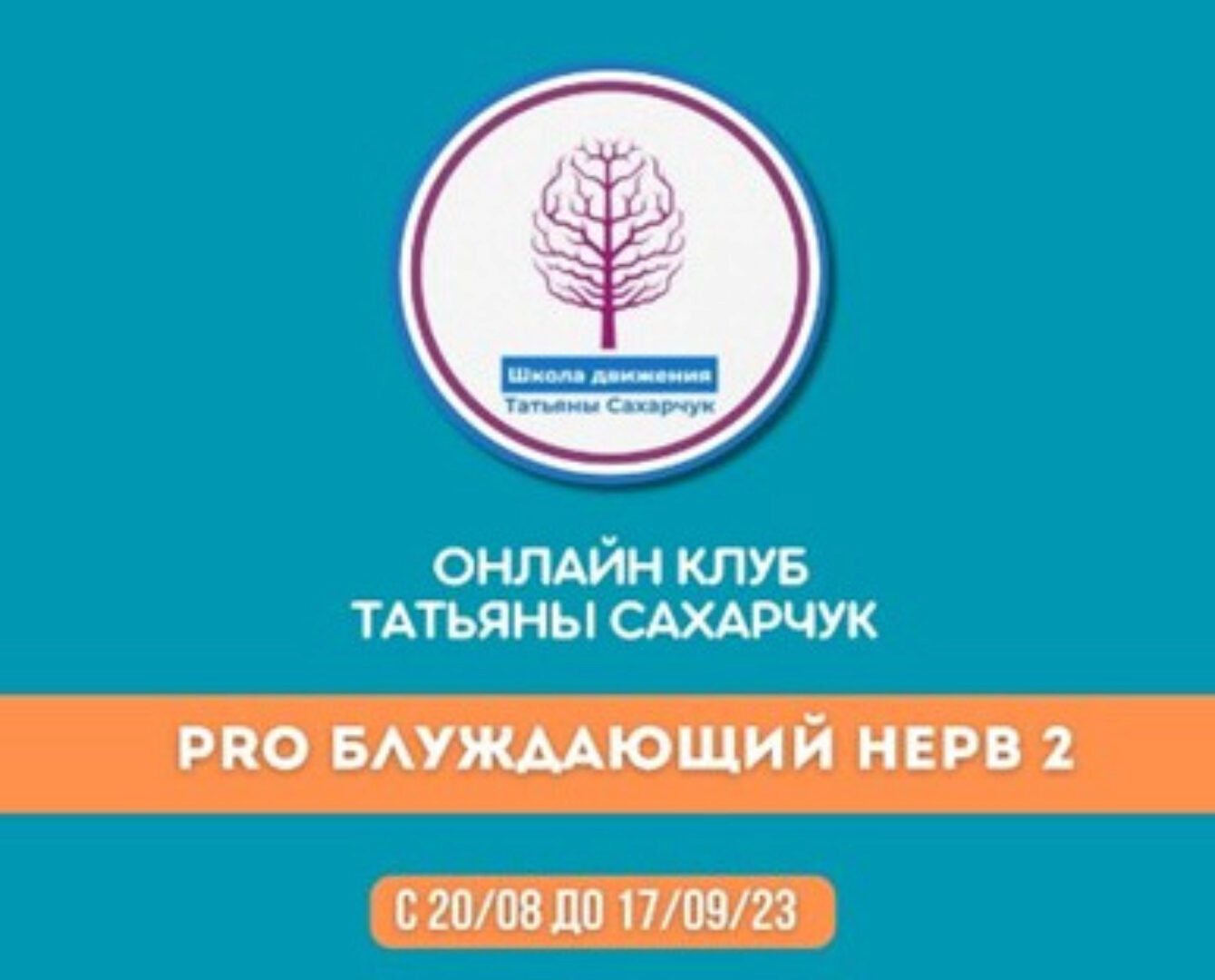 [Школа движения] Восстановление здоровья. PRO Блуждающий нерв-2 (Татьяна Сахарчук)