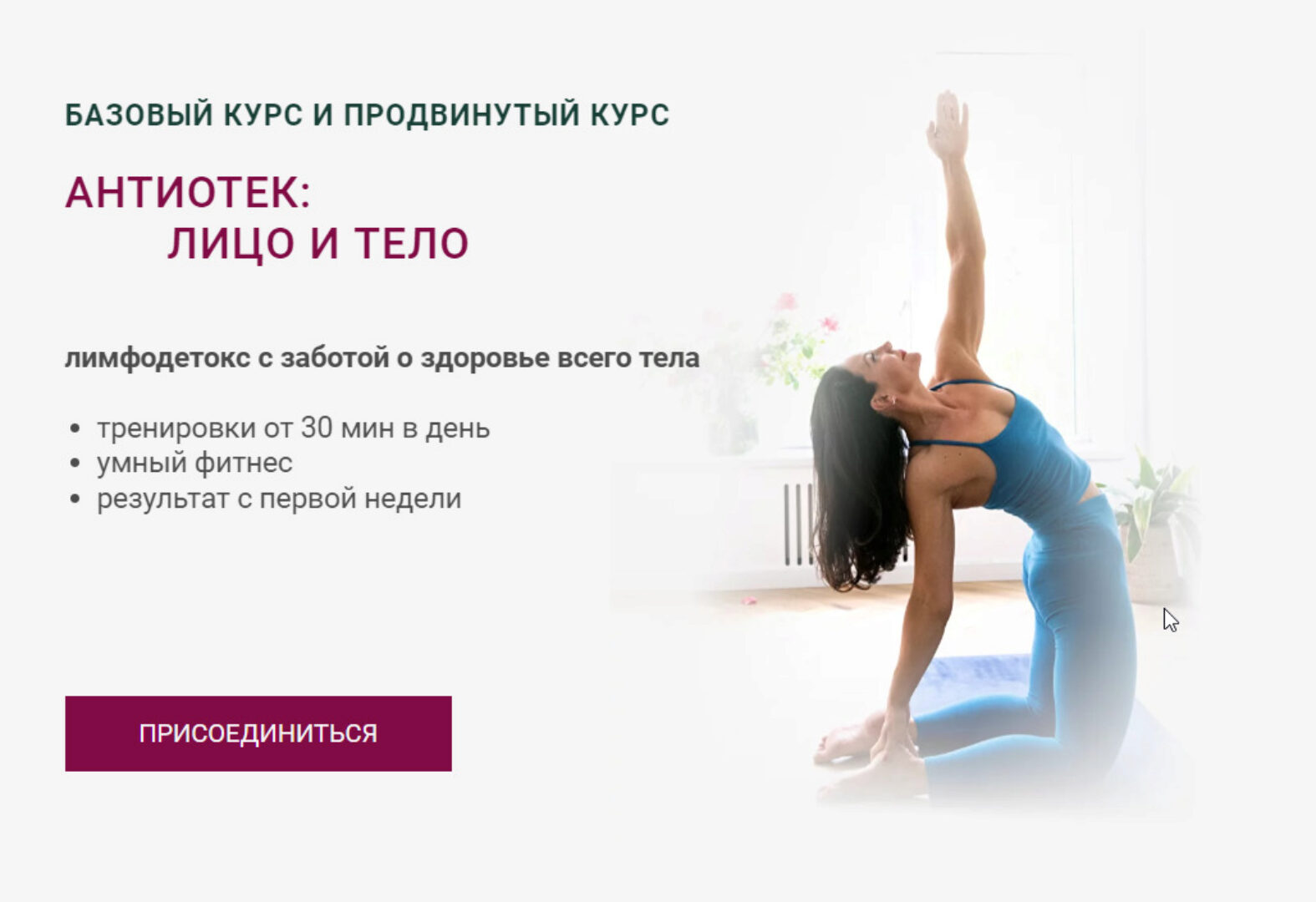 Антиотек: Лицо и Тело. Тариф Базовый (Александра Кибзий)