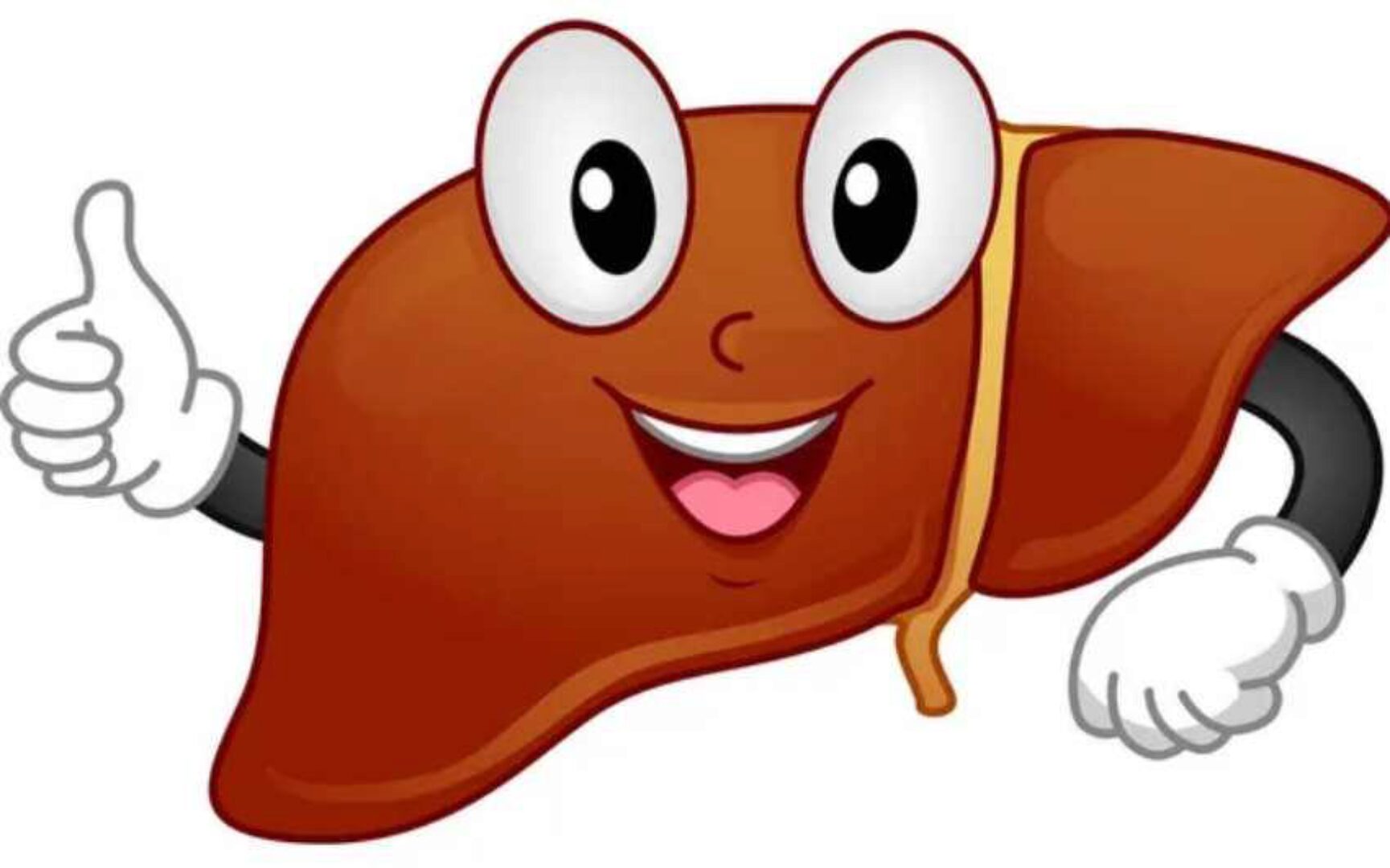 Печень фундамент здоровия (Юлия Крушанова)