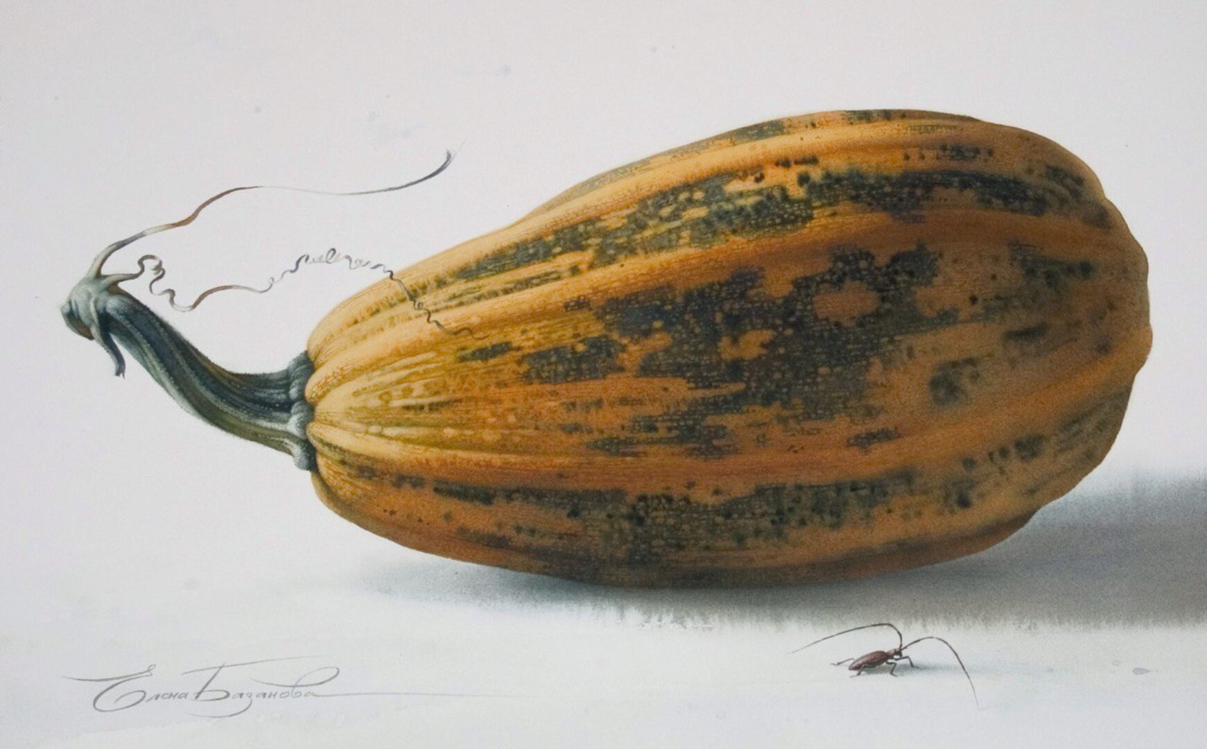 [Lectoroom] Тыквы на мешковине акварелью (Елена Базанова)