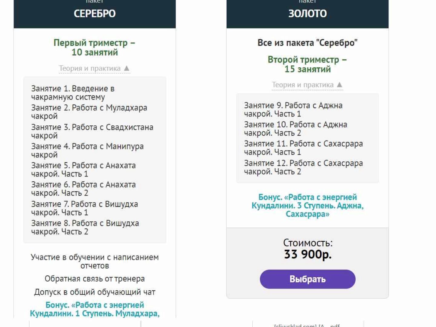 [Master Vision] «Чакрам» - Пакет «ЗОЛОТО» (Василий Попов)