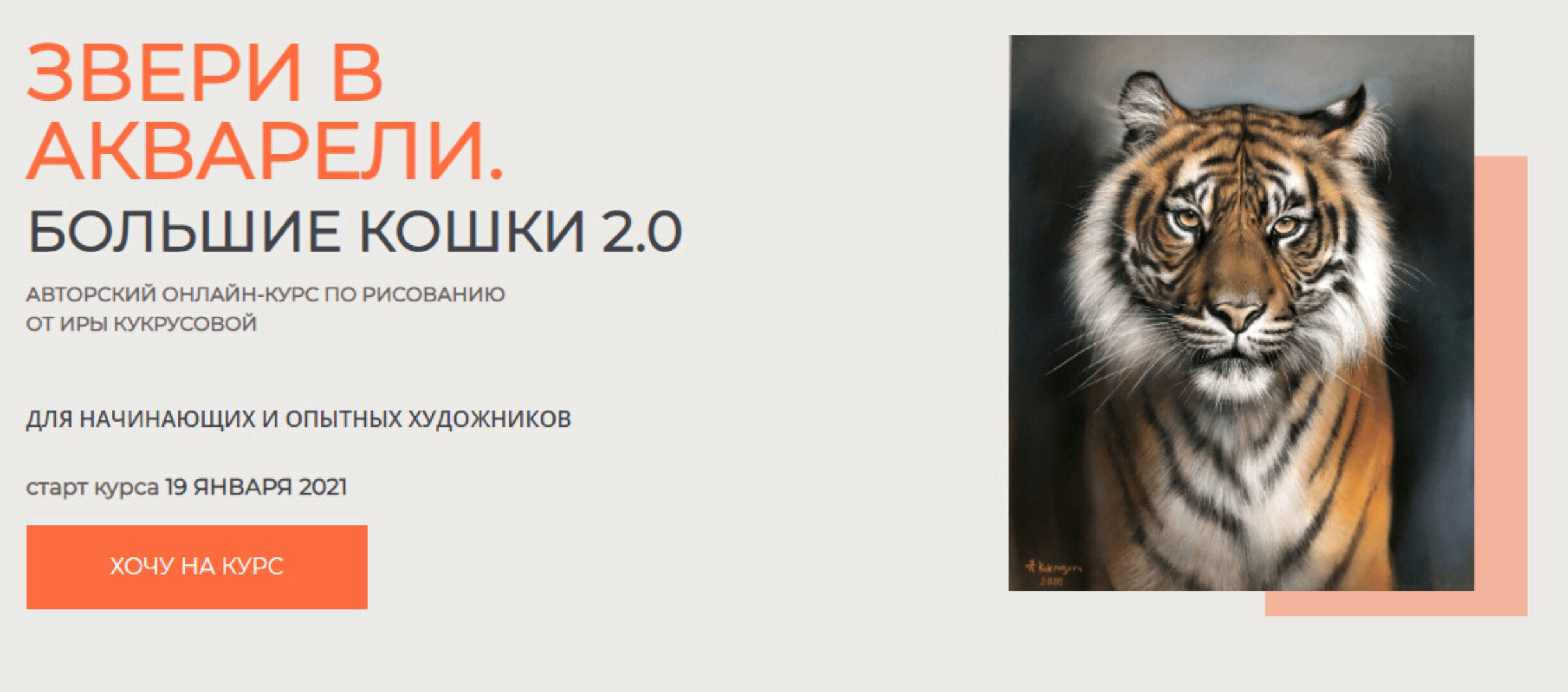 Звери в акварели. Большие кошки-2. Тариф «Только теория» (Ирина Кукрусова)