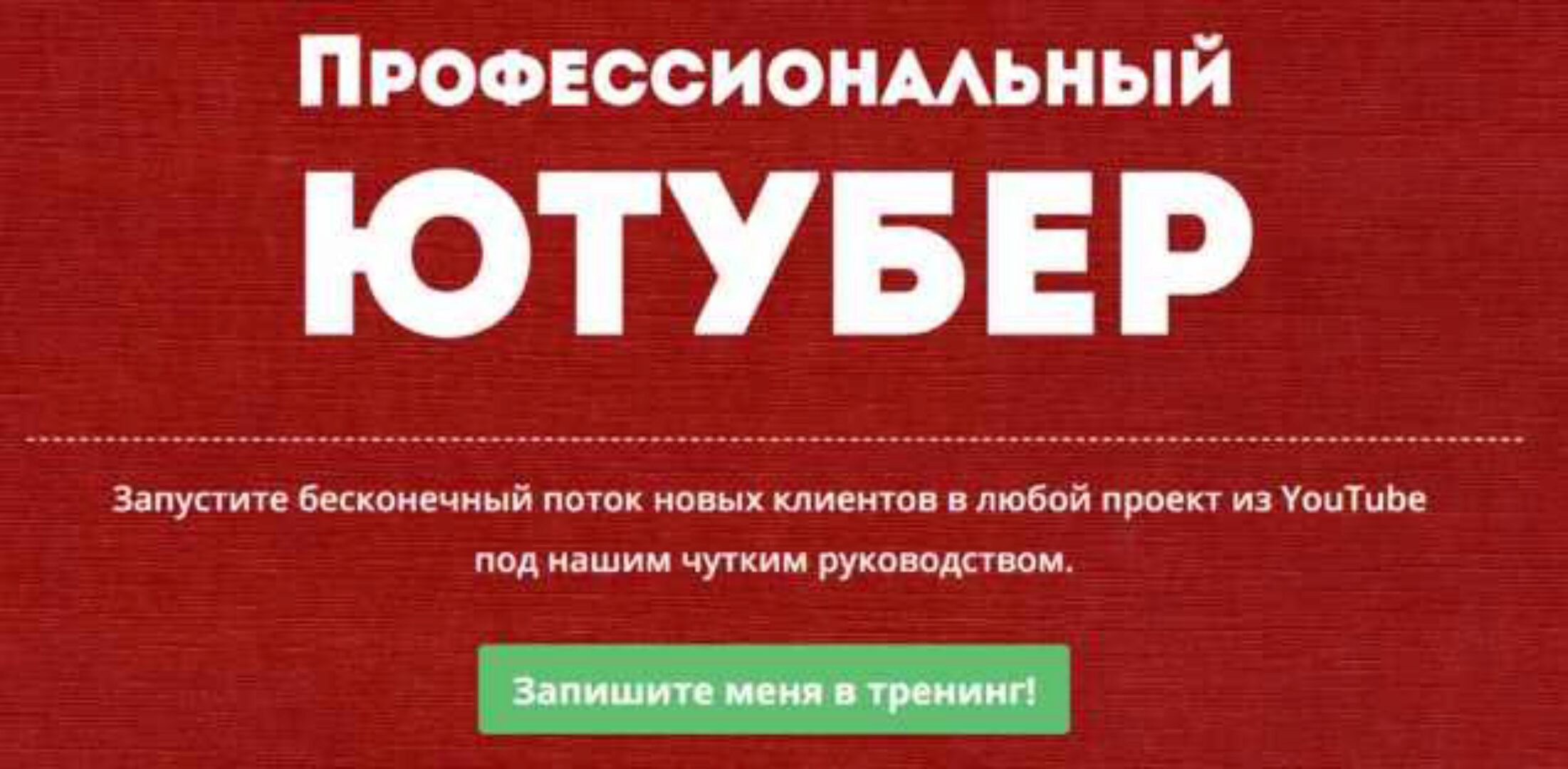 Профессиональный Ютубер (Александр Балыков, Александр Гасс)