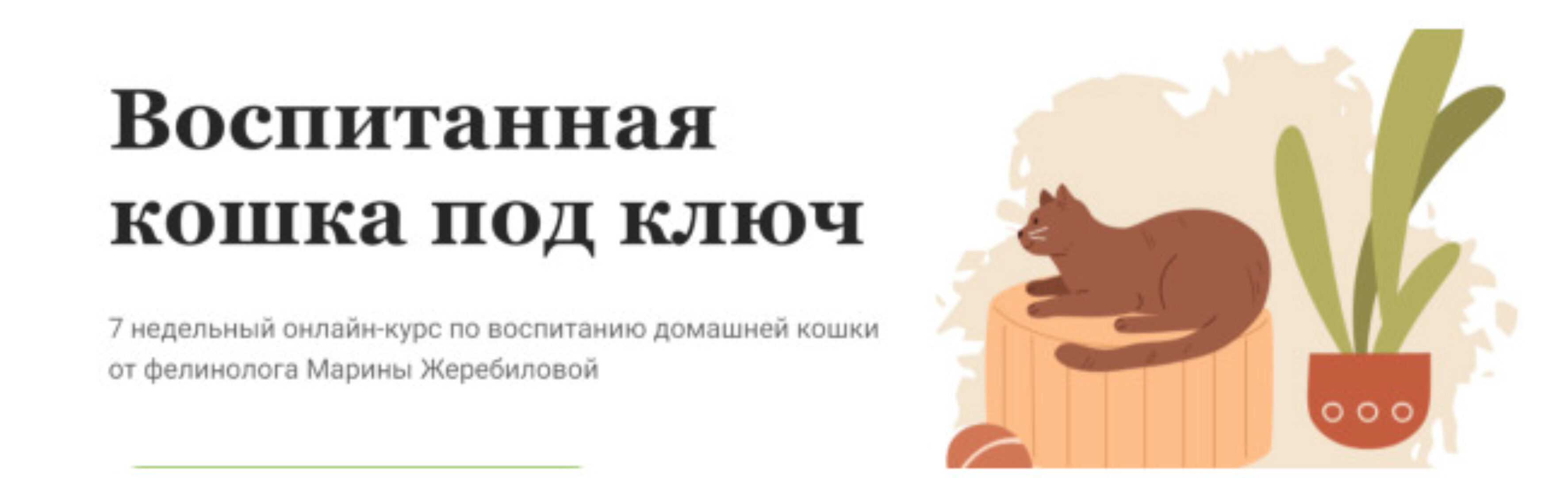 Воспитанная кошка под ключ. Тариф Самостоятельный (Марина Жеребилова)