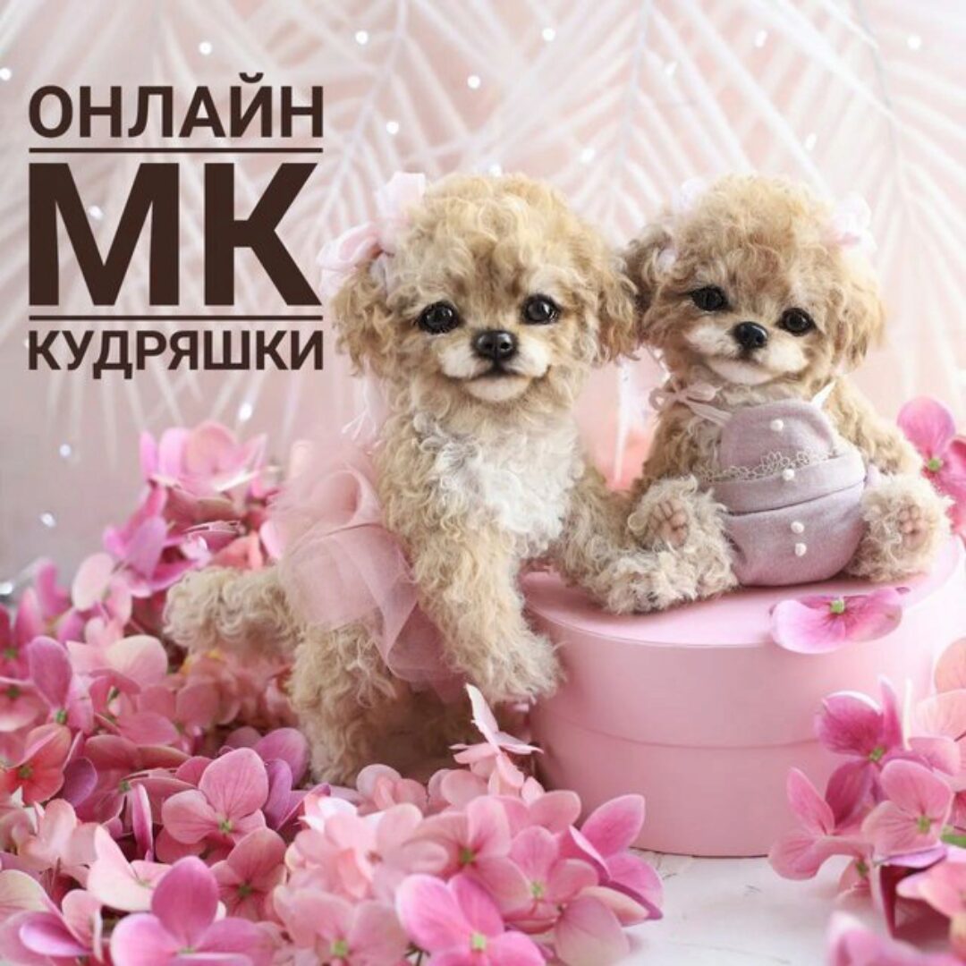 Кудряшки (Инна Борзенкова)