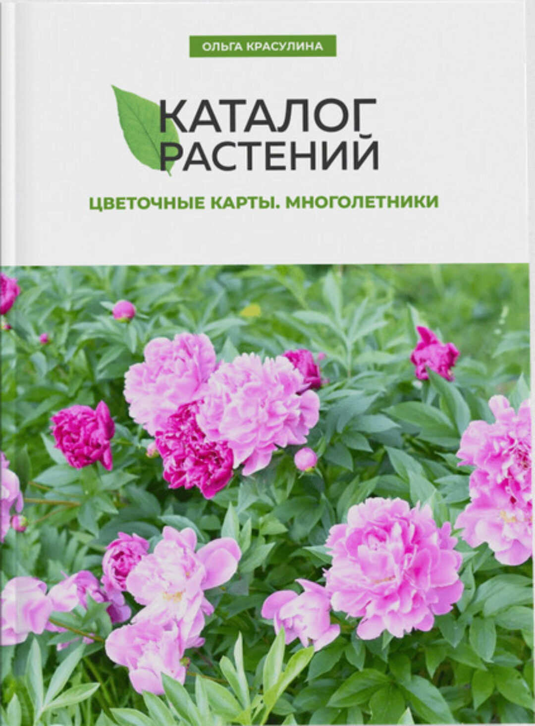 Каталог растений. Цветочные карты. Многолетники (Ольга Красулина)