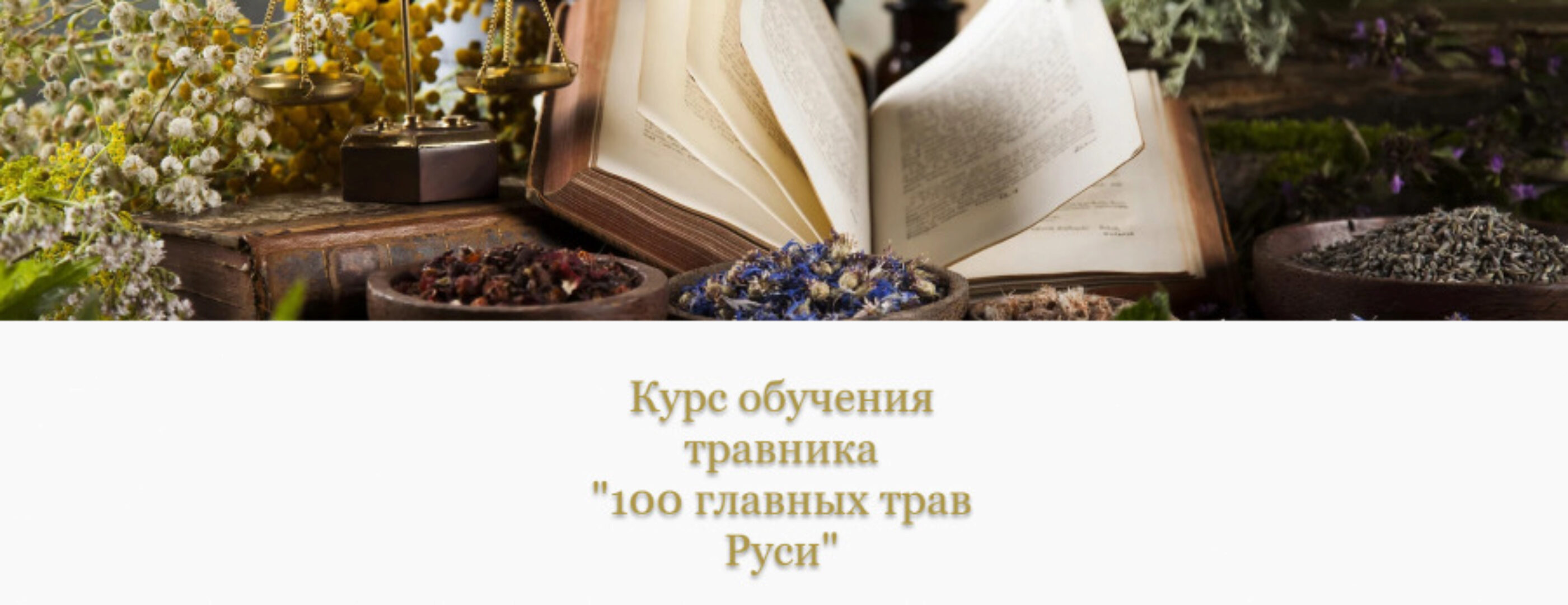 [Медвежий угол] 100 главных трав Руси (Елена Горчакова)