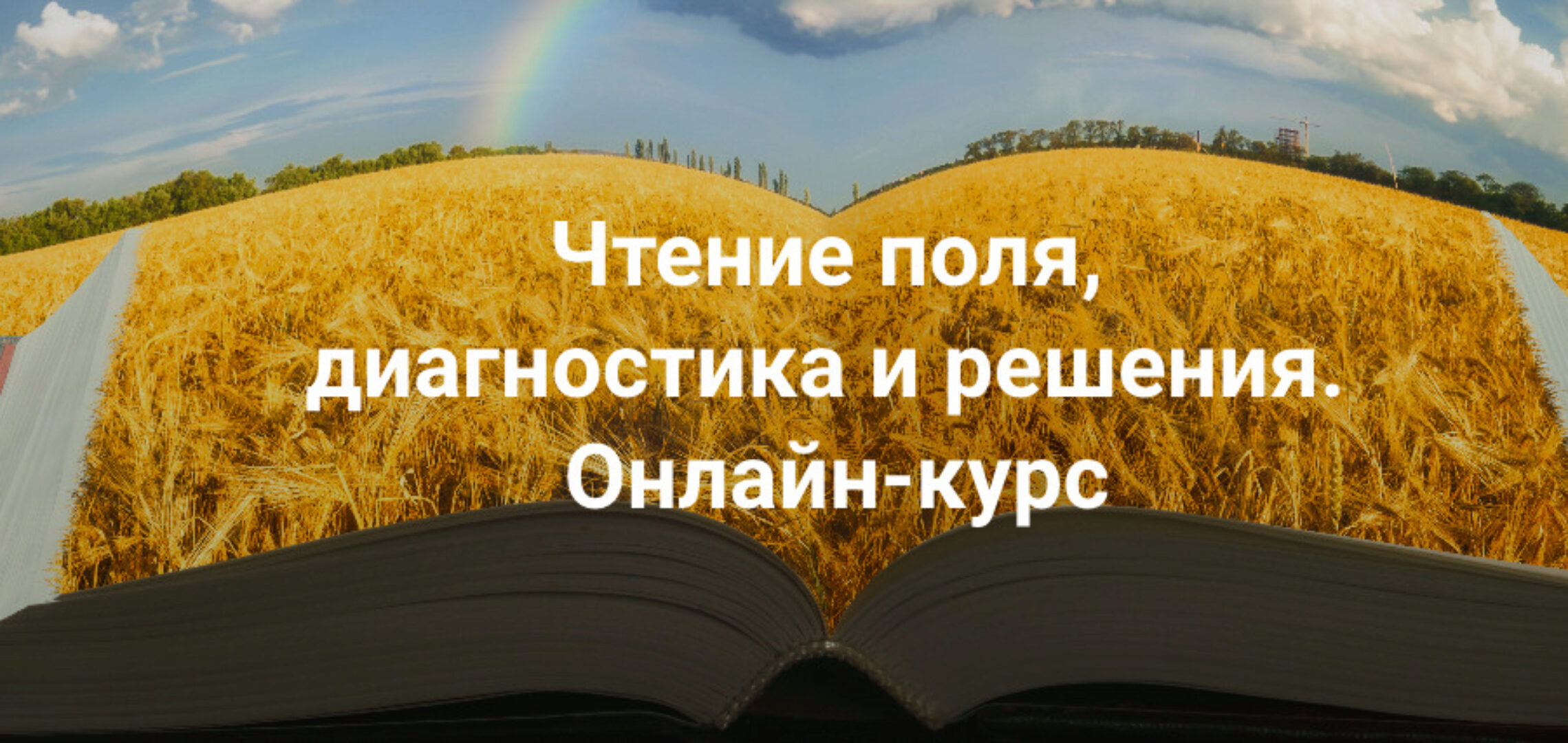 Чтение поля,  диагностика и решения .Тариф Апгрейд до пакета «Полный» (Елена Веселаго)