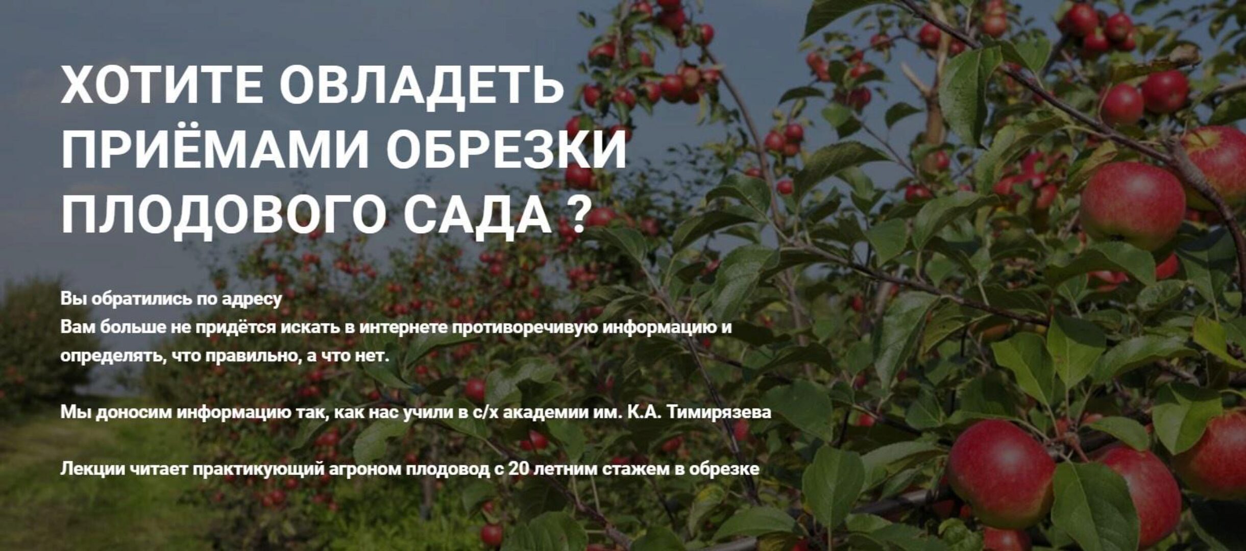 Обрезка плодового сада (Владимир Самсоненко)