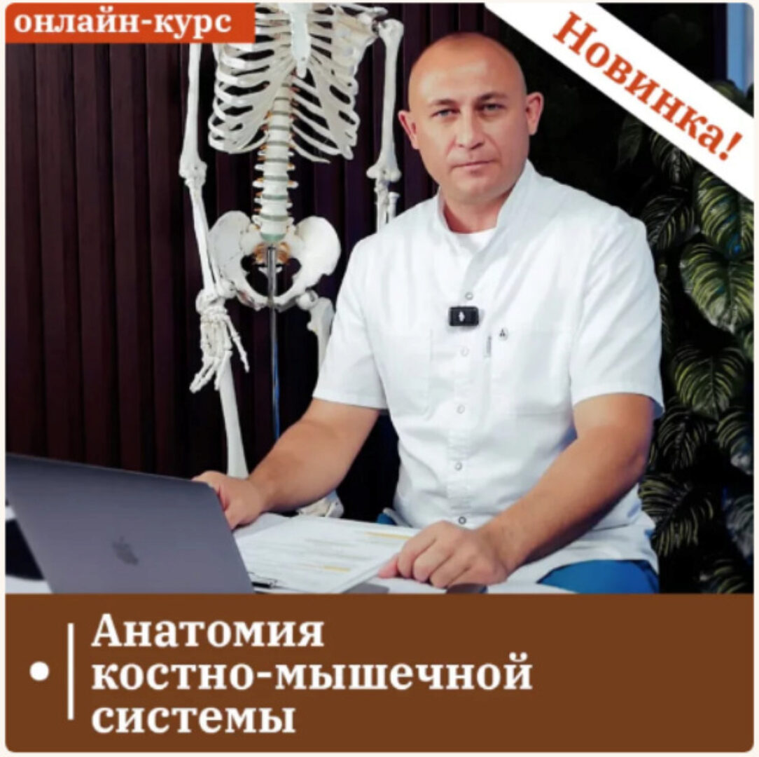 [ККПК] Анатомия костно-мышечной системы (Антон Циванюк)