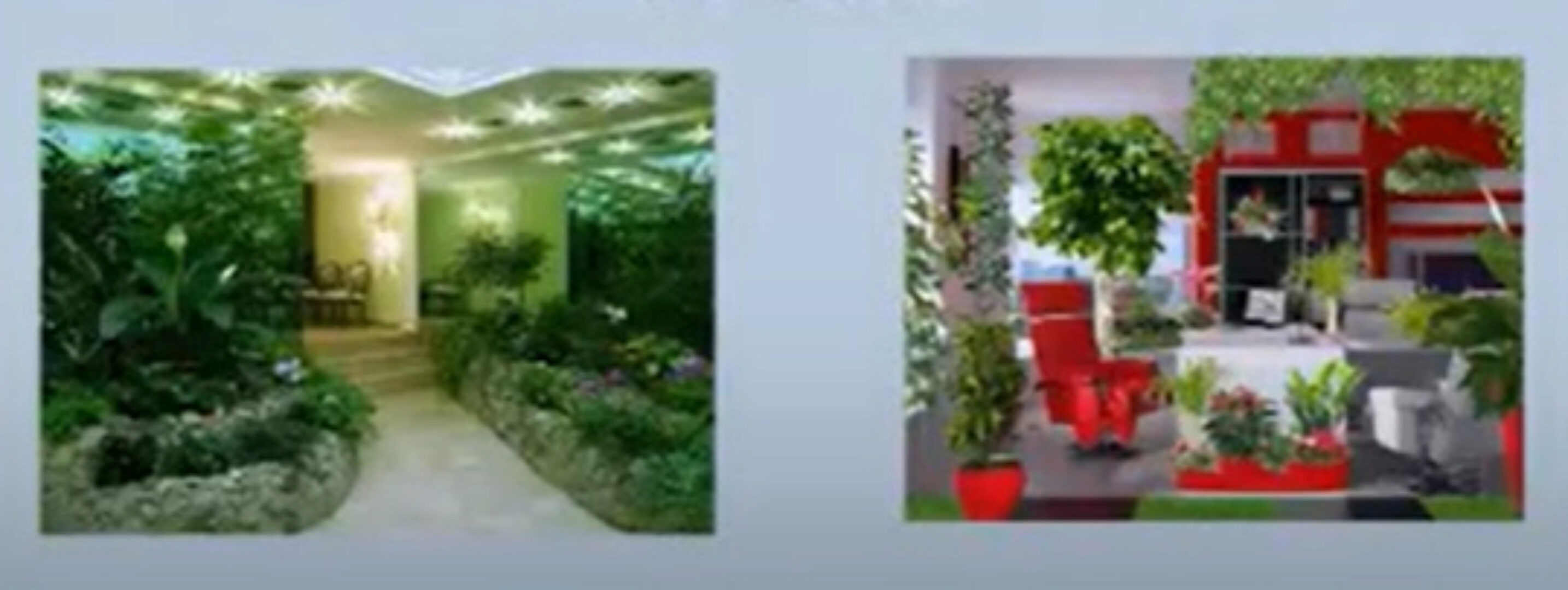 [Prodecoring] Фитодизайн в интерьере