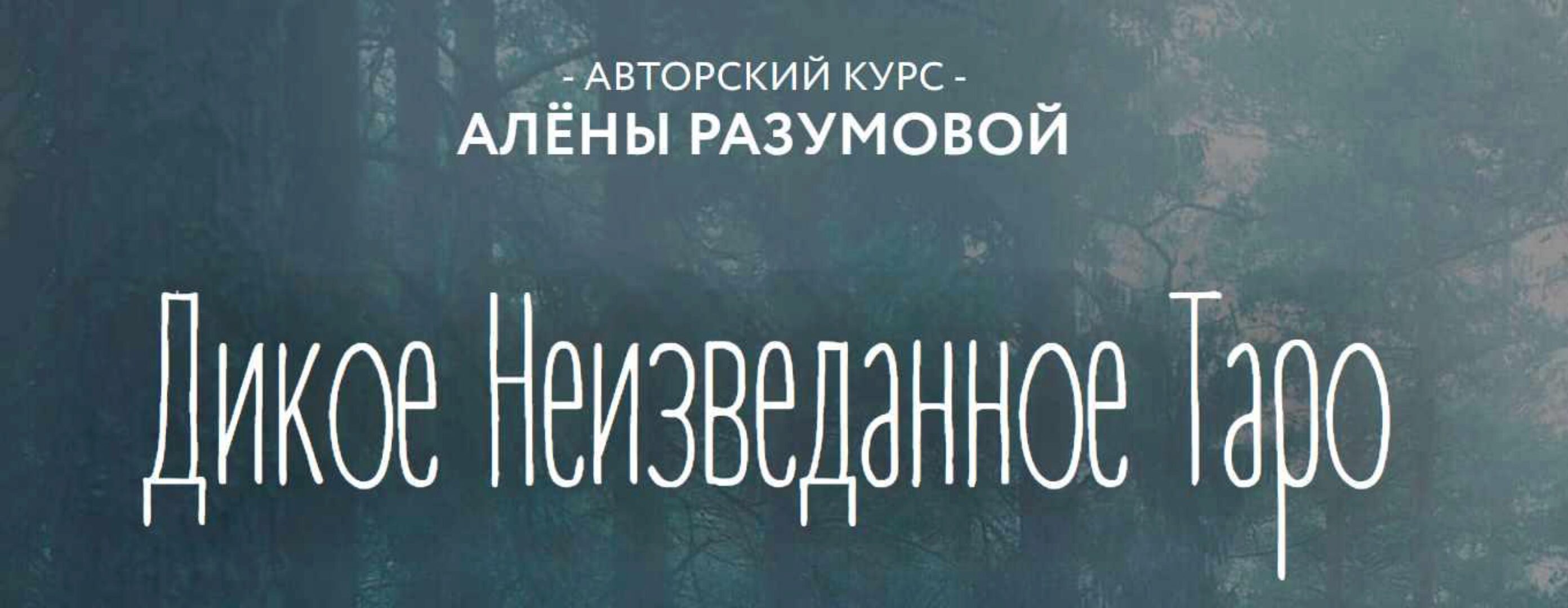 Дикое Неизведанное Таро - 1 блок (Алёна Разумова)