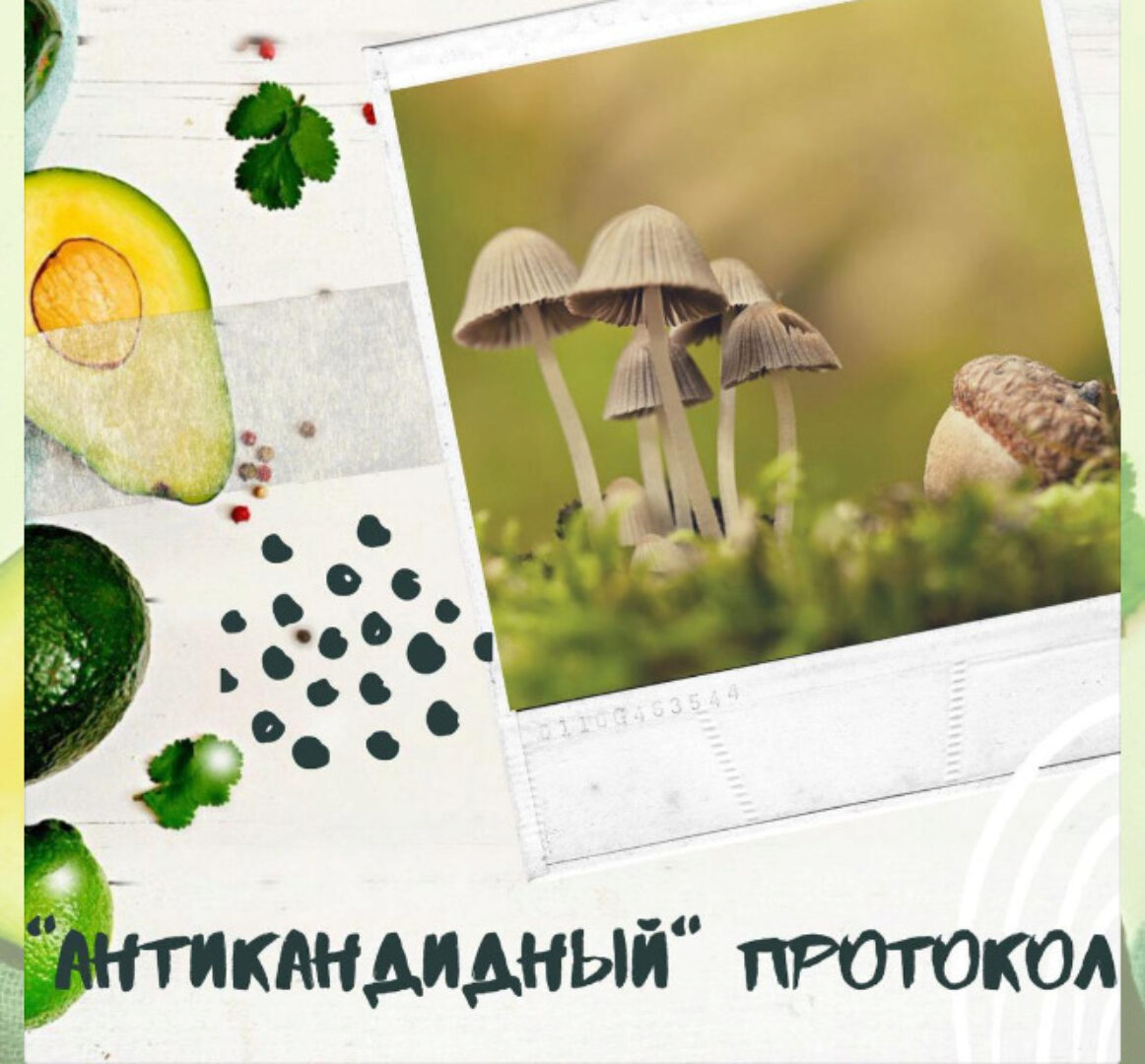 АНТИкандидный протокол (Светлана Литвиненко)