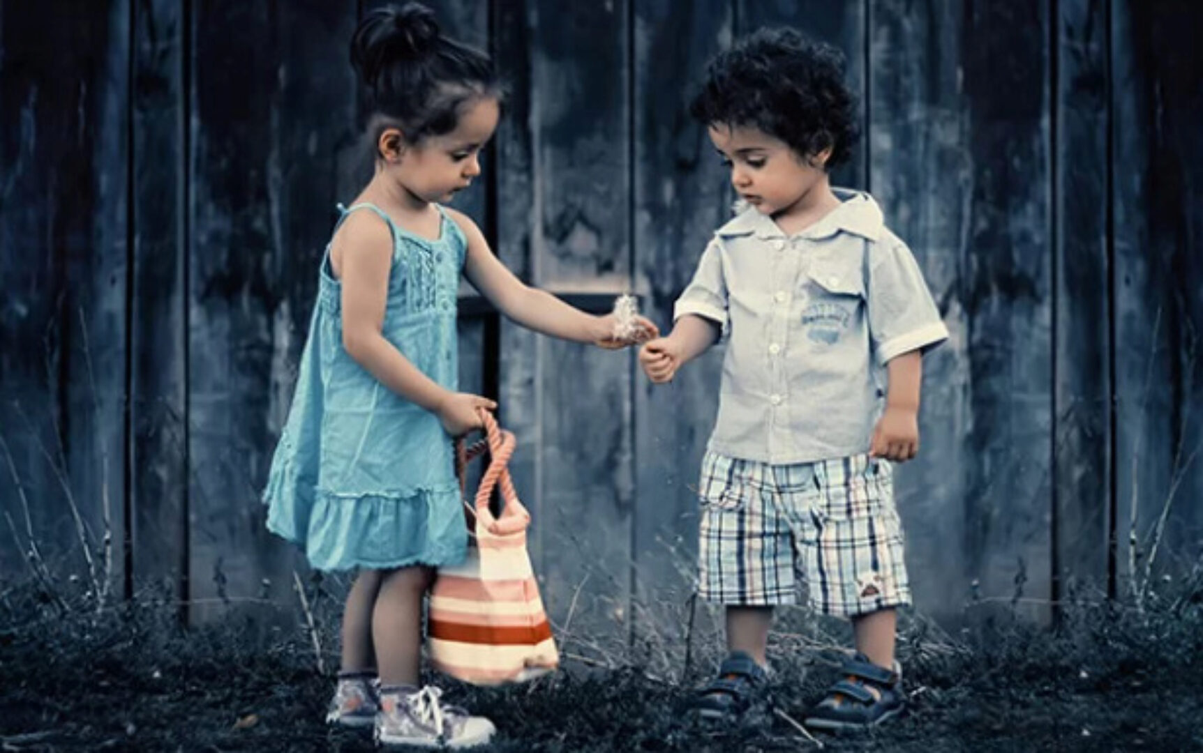 Навыки убеждения и аргументации (Полина Тур)