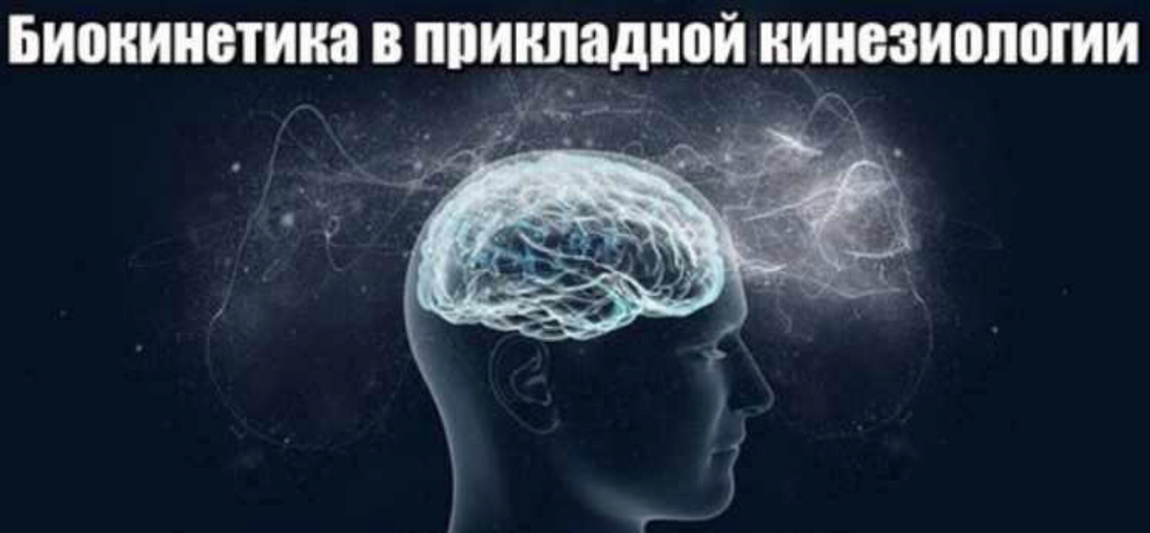 Биокинетика в прикладной кинезиологии (Татьяна Ильичева)