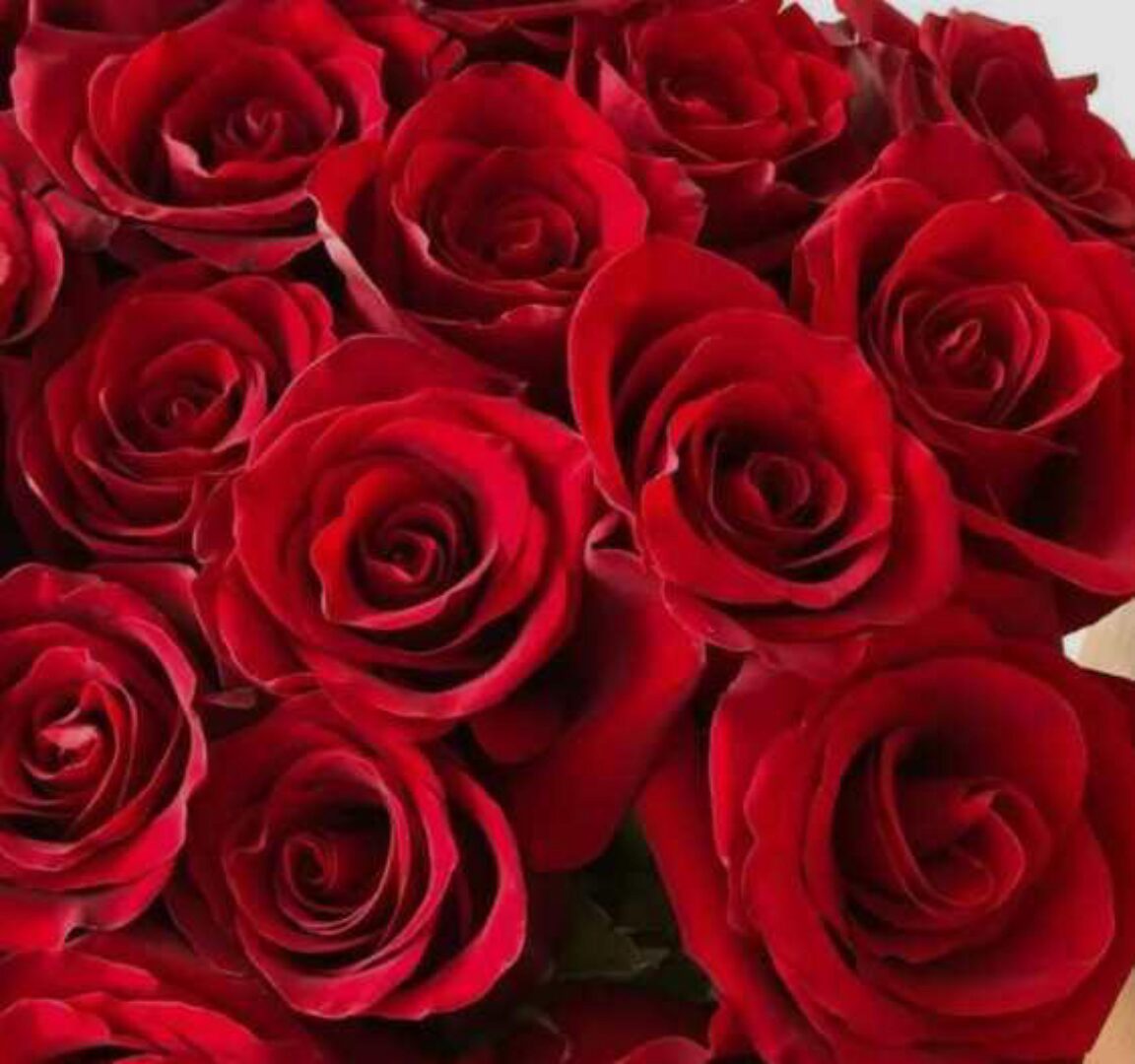 [OnlineWomenClub] Значимость 3.1.+ Подарки (Анжела Николенко) @asya.secret