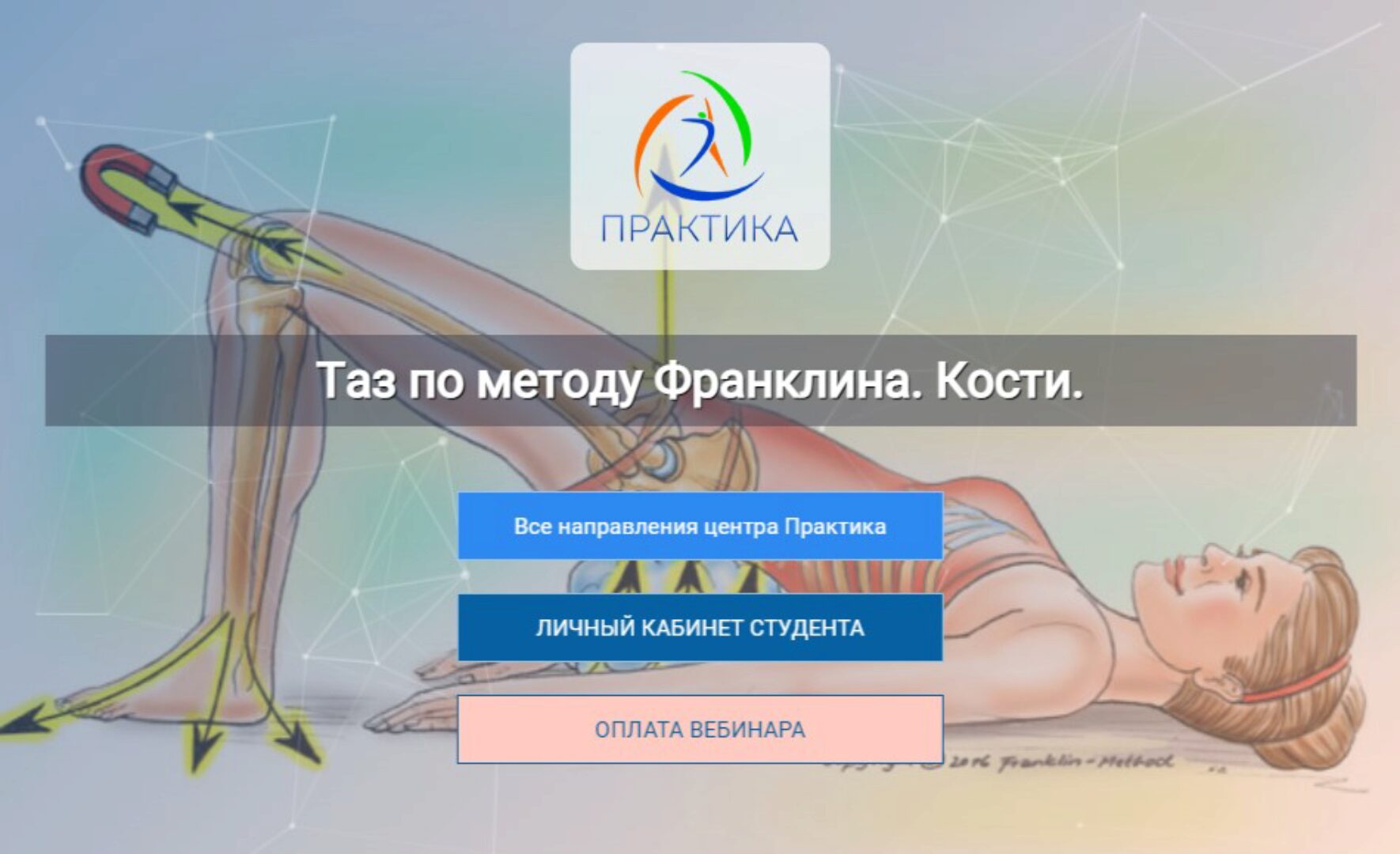 [Центр Практика] Таз по методу Франклина. Кости (Людмила Бабанская)