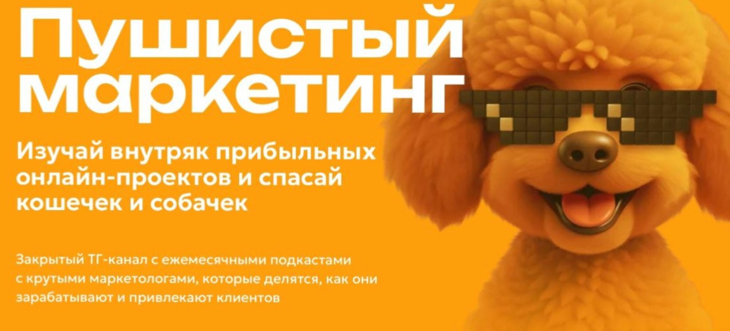 Пушистый маркетинг (Алексей Корзун, Светлана Афанасьева)