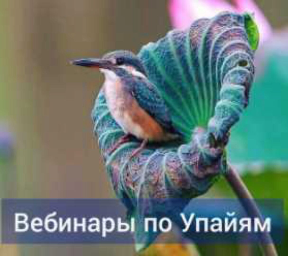 Применение коррективных средств ведической астрологии (Андрей Ларионов)