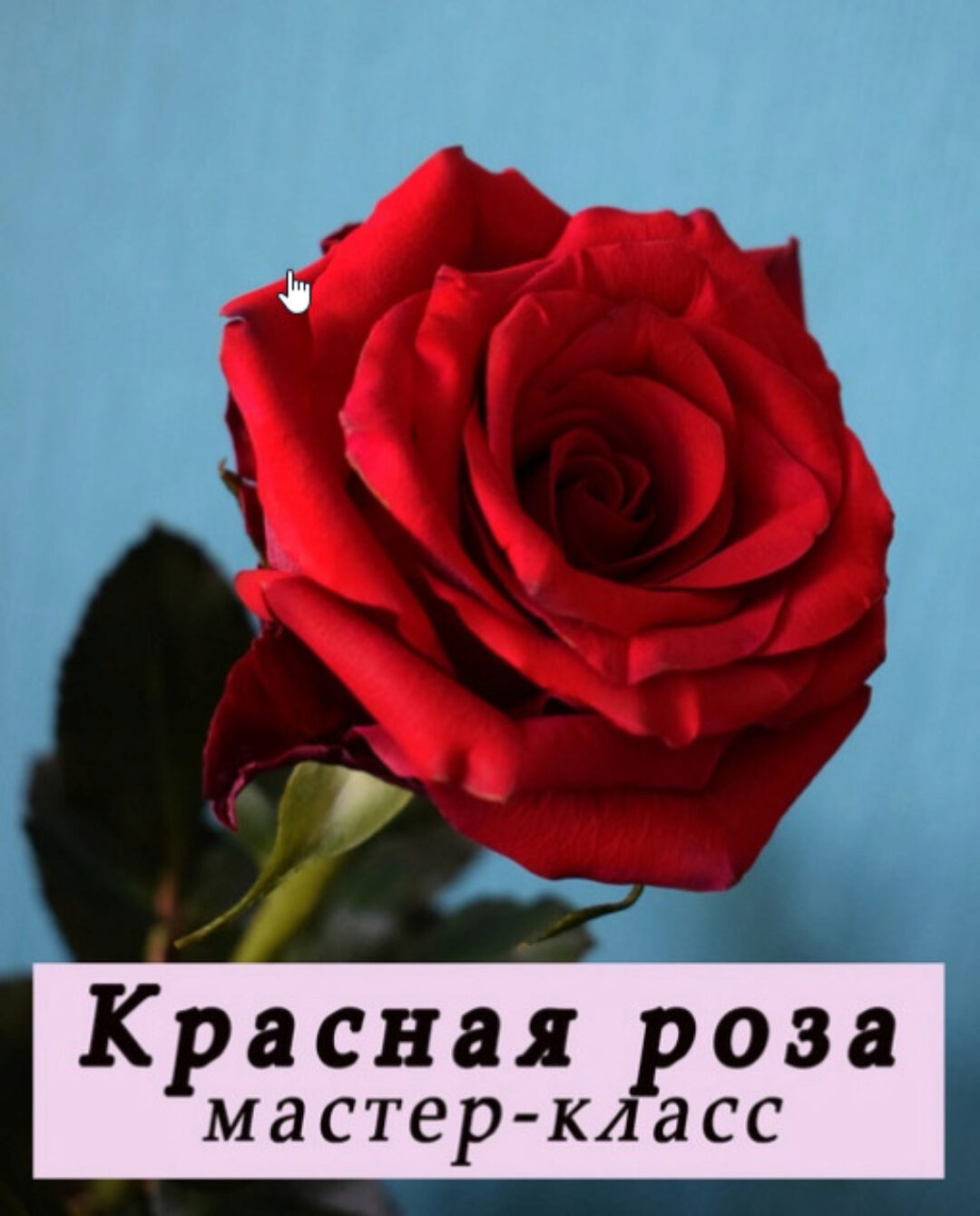 Красная роза из холодного фарфора (Татьяна Карелина)